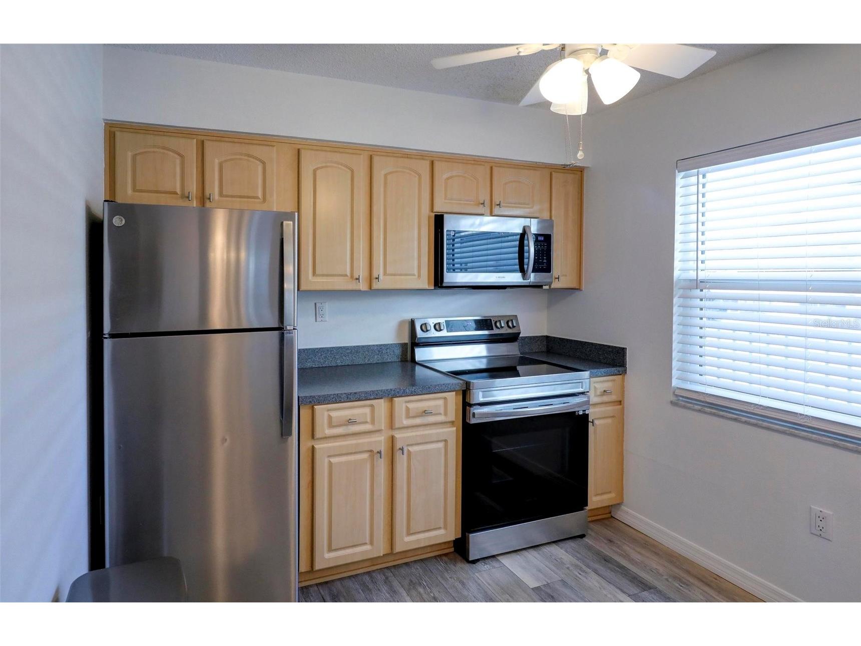 1126 King Arthur Court #418 Dunedin FL 34698 TB8465906 image10