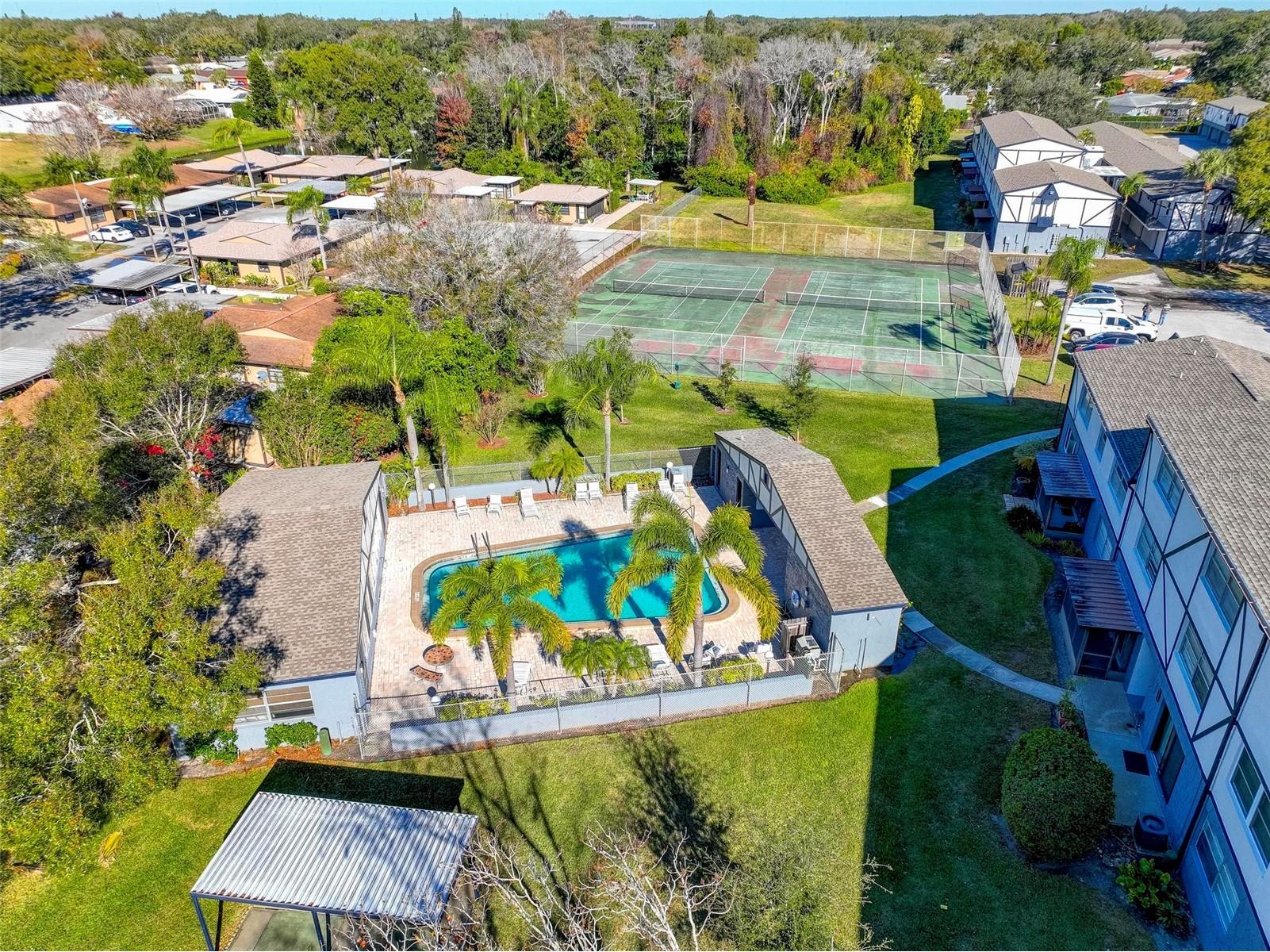 1126 King Arthur Court #418 Dunedin FL 34698 TB8465906 image30