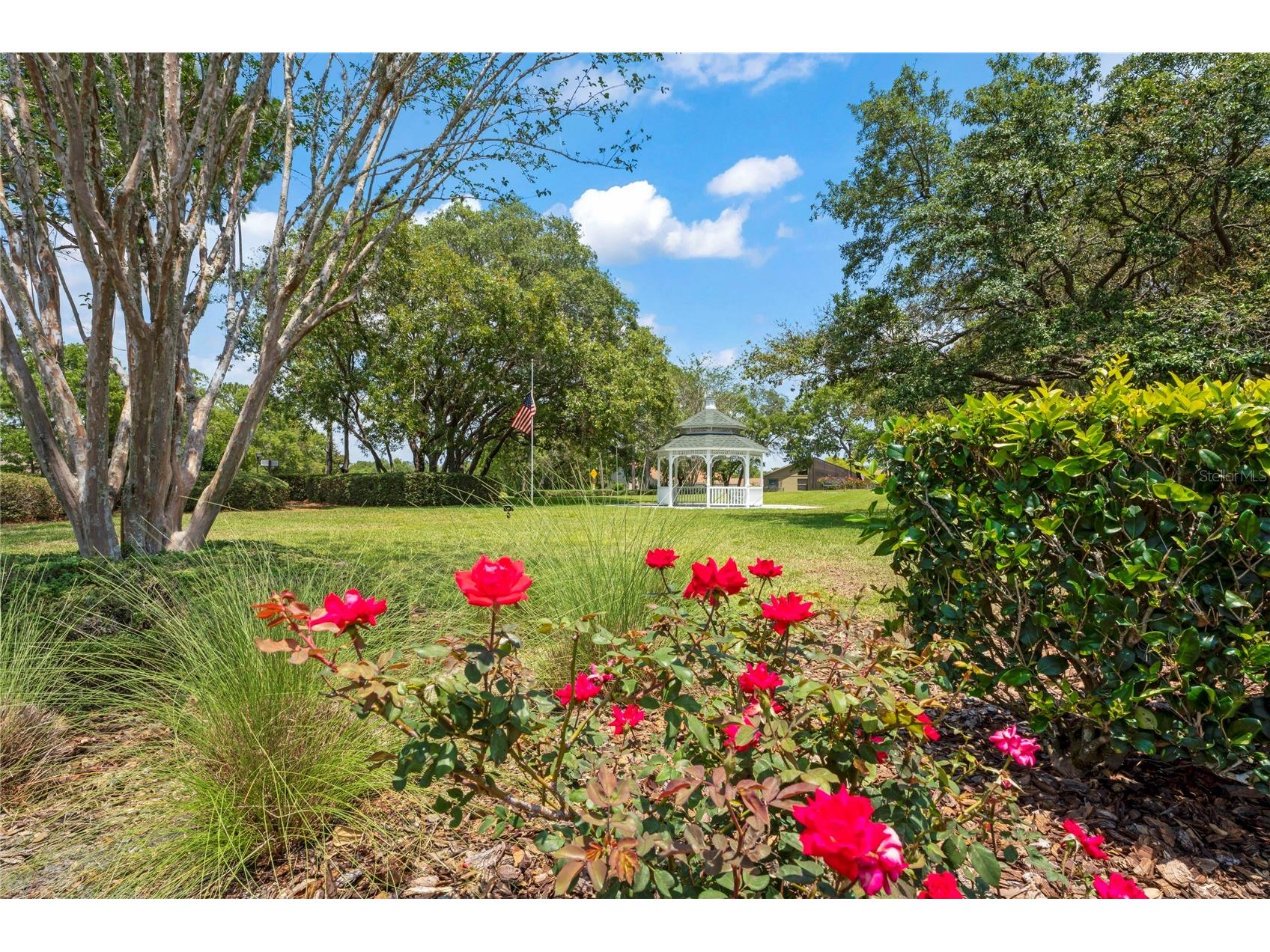 11261 Mcracken Drive Spring Hill FL 34609 W7887085 image63