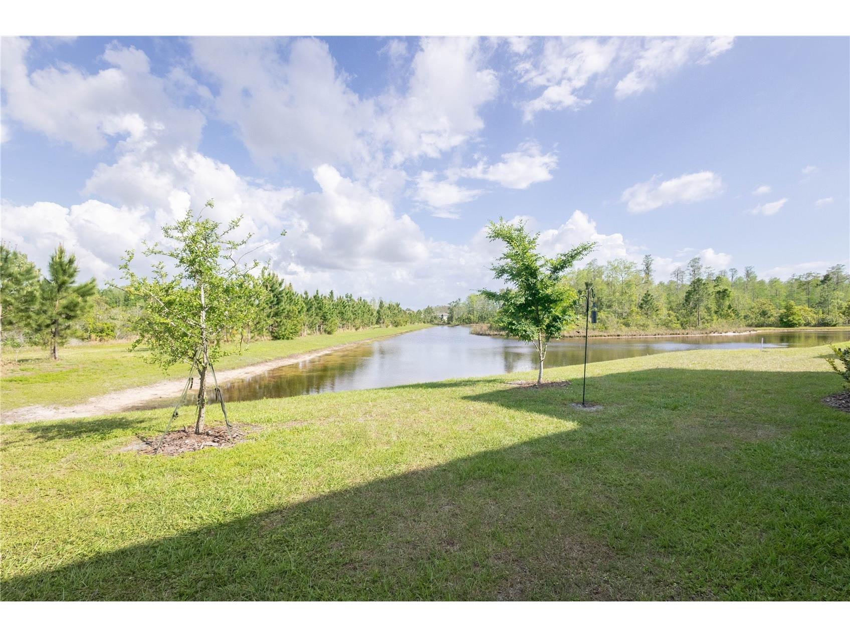 11262 Crescent Deer Drive Land O Lakes FL 34638 TB8495672 image16