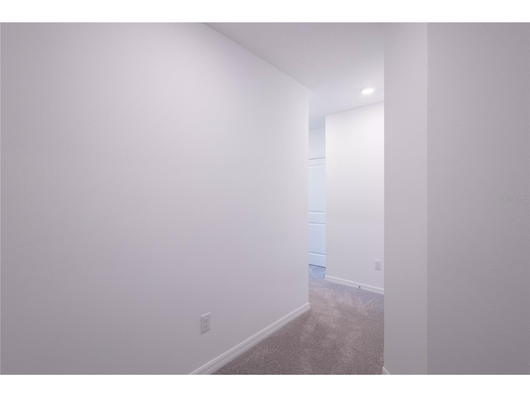 11262 Crescent Deer Drive Land O Lakes FL 34638 TB8495672 image18