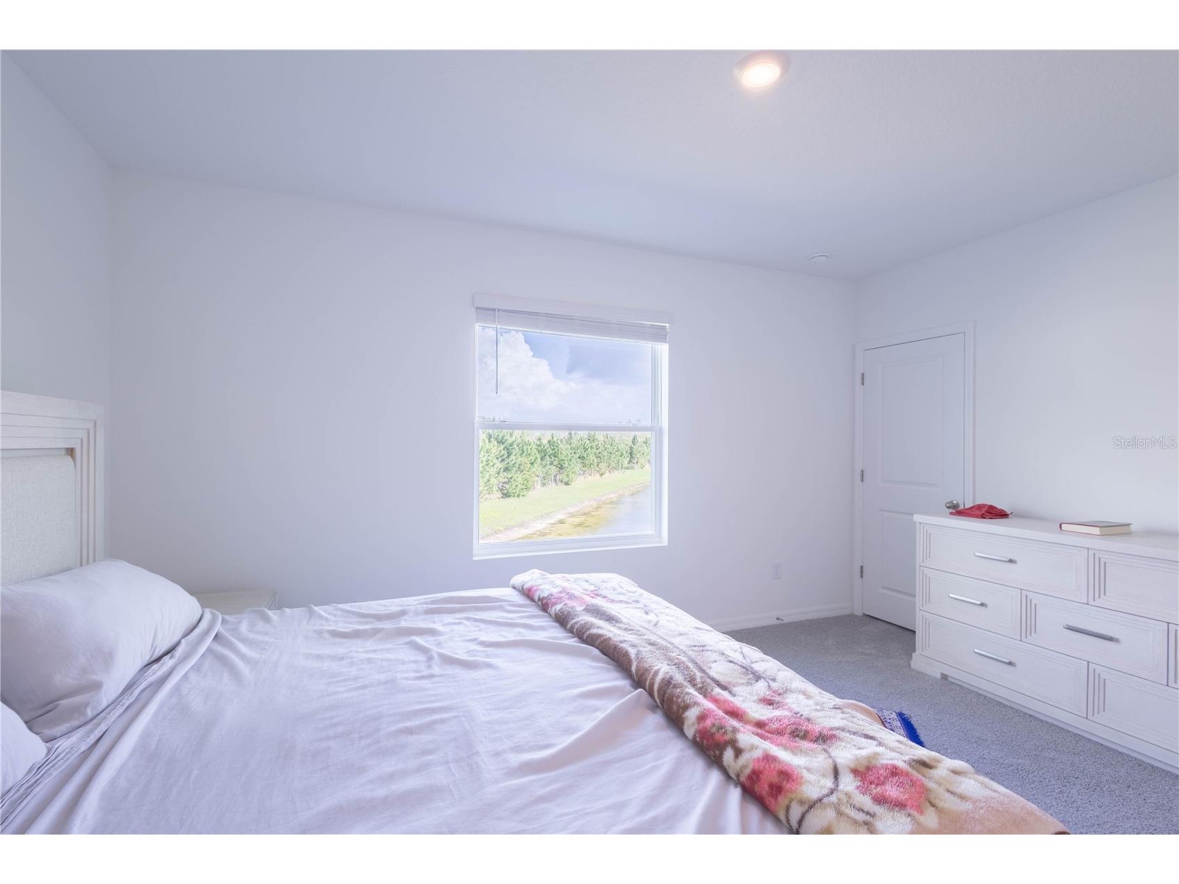 11262 Crescent Deer Drive Land O Lakes FL 34638 TB8495672 image24