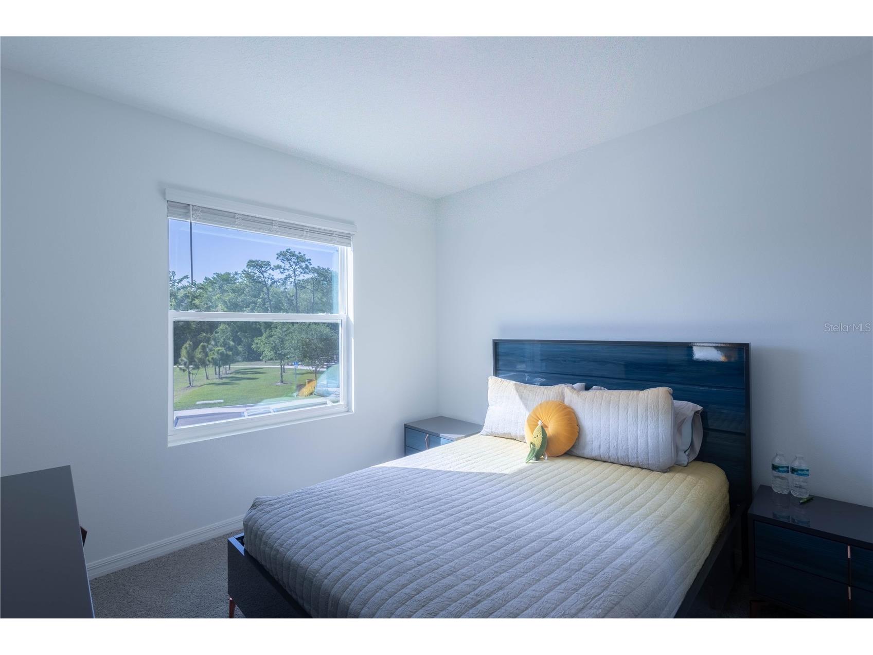 11262 Crescent Deer Drive Land O Lakes FL 34638 TB8495672 image33