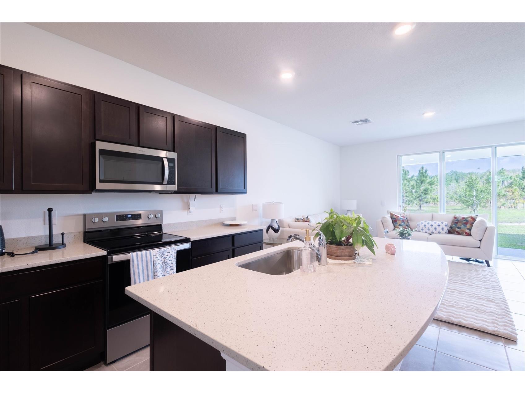 11262 Crescent Deer Drive Land O Lakes FL 34638 TB8495672 image7
