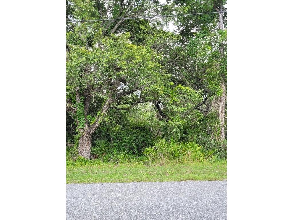 11262 Little Gull Road Brooksville FL 34614 U8205575 image1