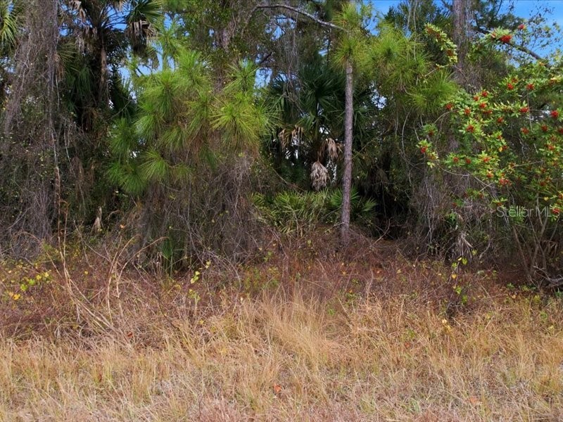 1126207439 Barcelona Drive North Port FL 34288 TB8467205 image12