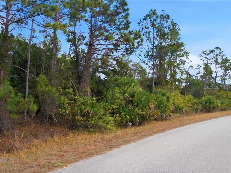 1126207439 Barcelona Drive North Port FL 34288 TB8467205 image8