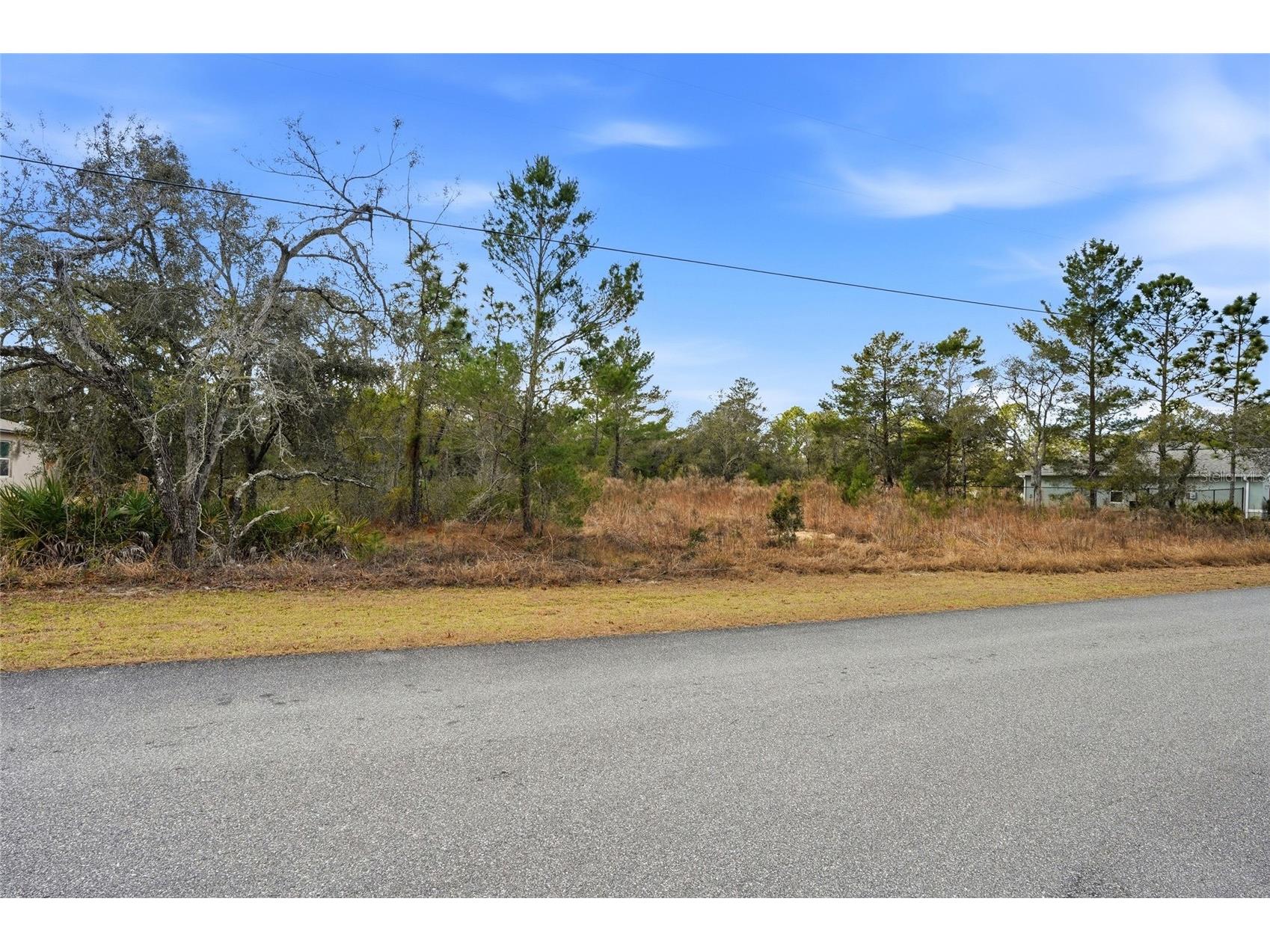 11263 Mexican Canary Avenue Weeki Wachee FL 34614 TB8476173 image13