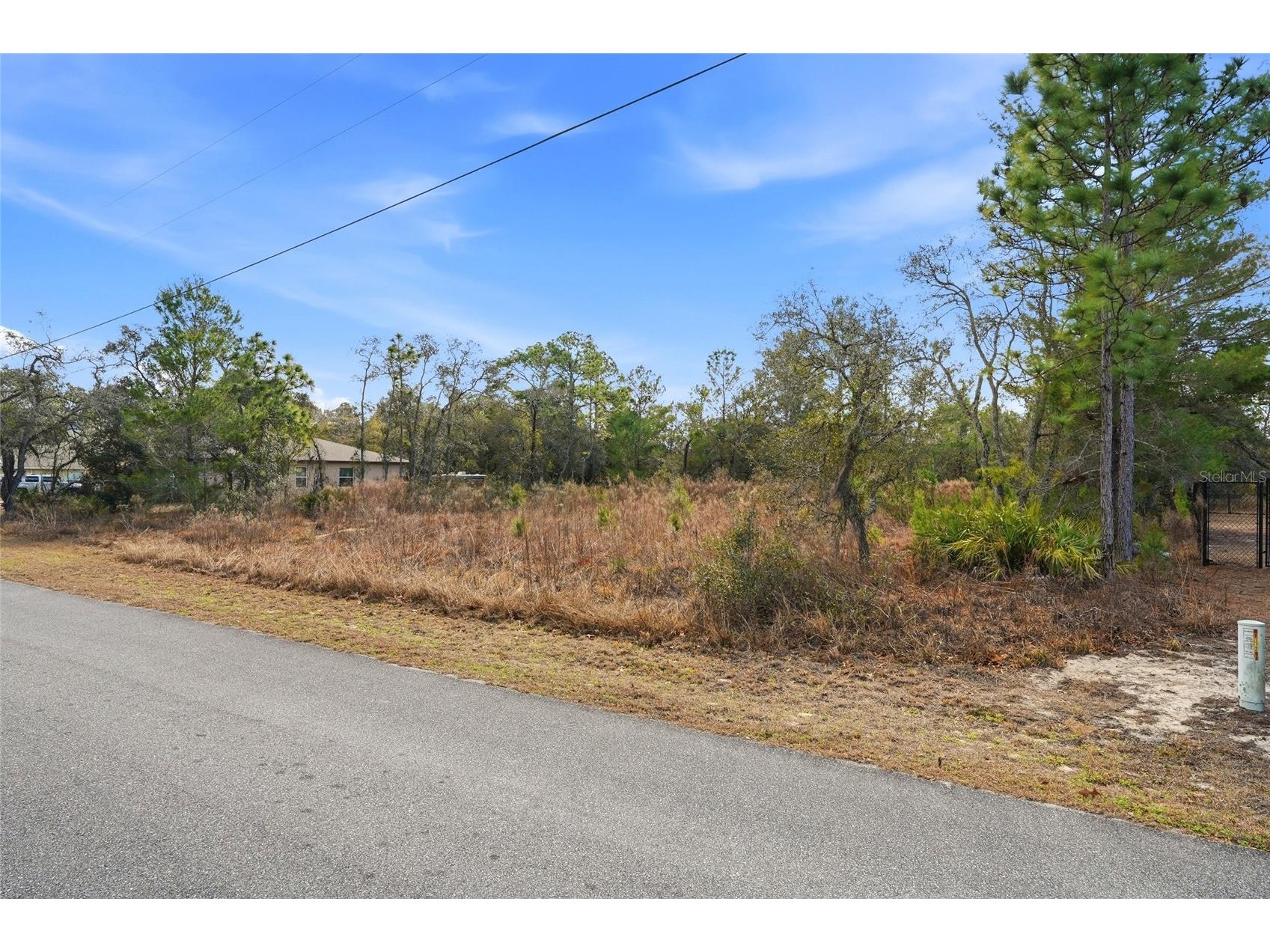 11263 Mexican Canary Avenue Weeki Wachee FL 34614 TB8476173 image14