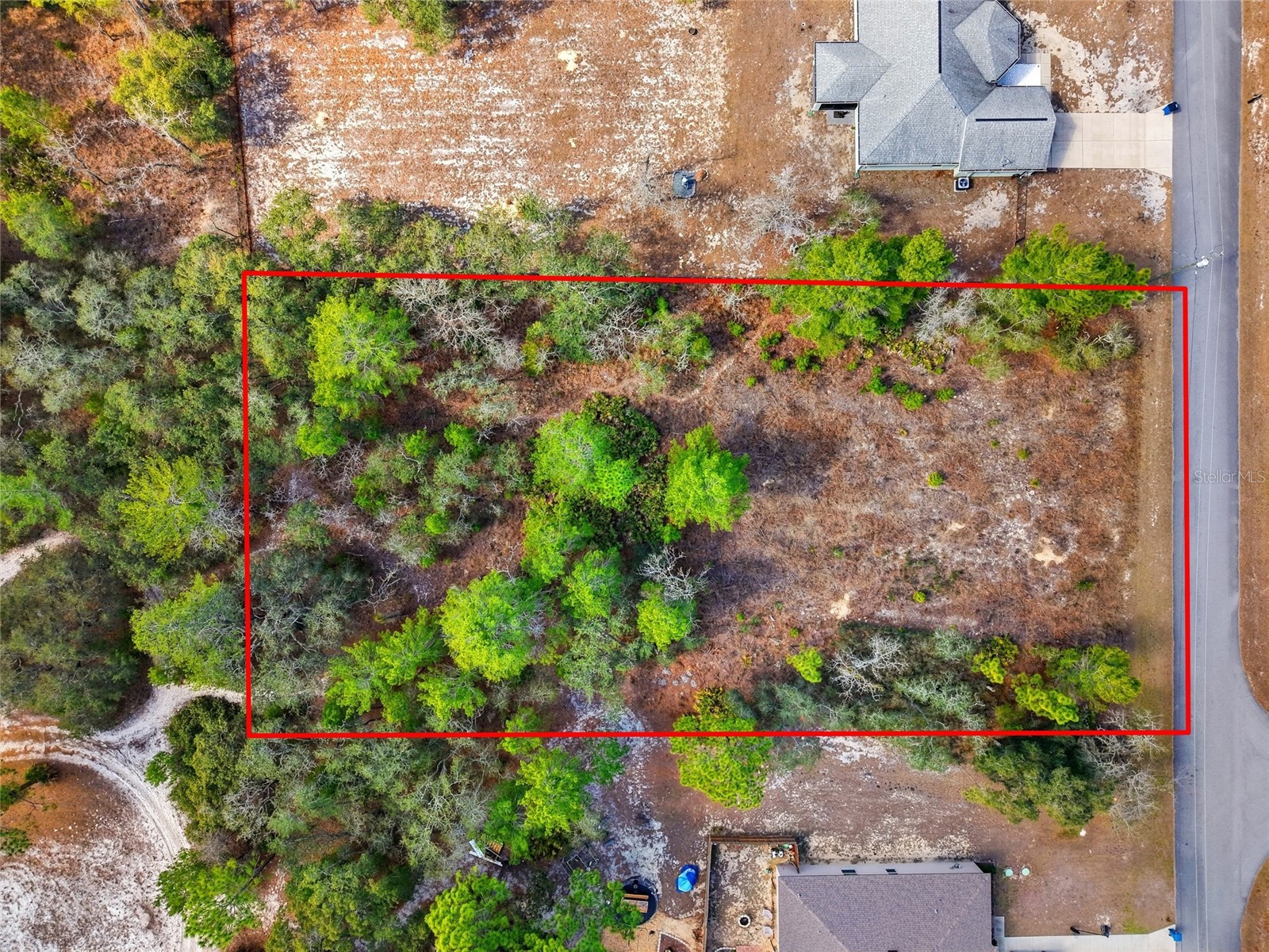 11263 Mexican Canary Avenue Weeki Wachee FL 34614 TB8476173 image3