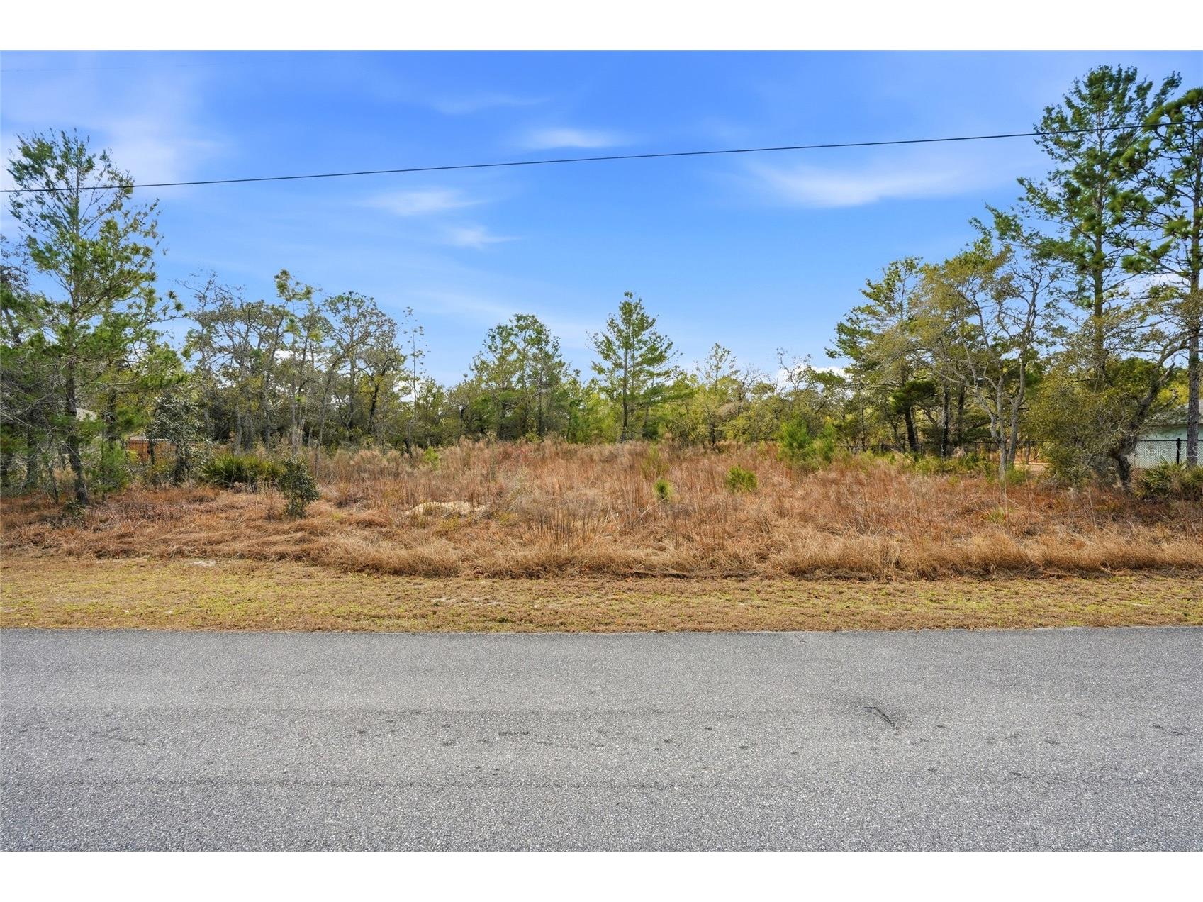 11263 Mexican Canary Avenue Weeki Wachee FL 34614 TB8476173 image4