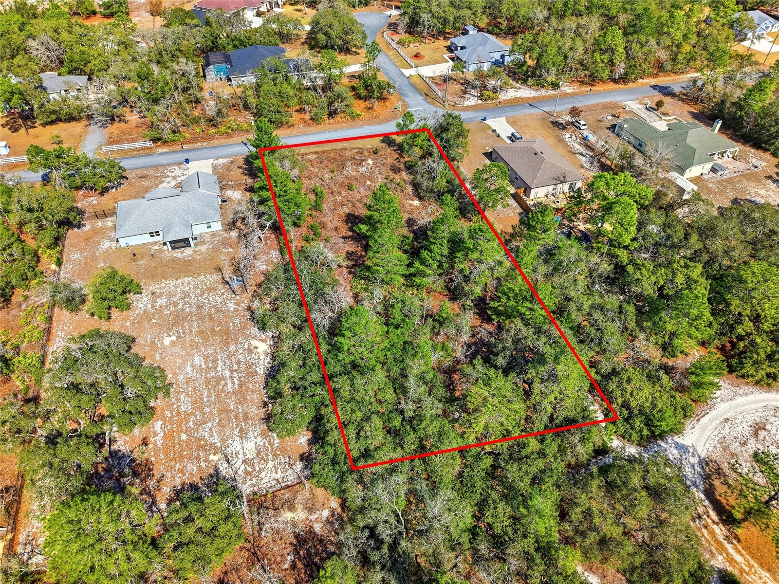 11263 Mexican Canary Avenue Weeki Wachee FL 34614 TB8476173 image8