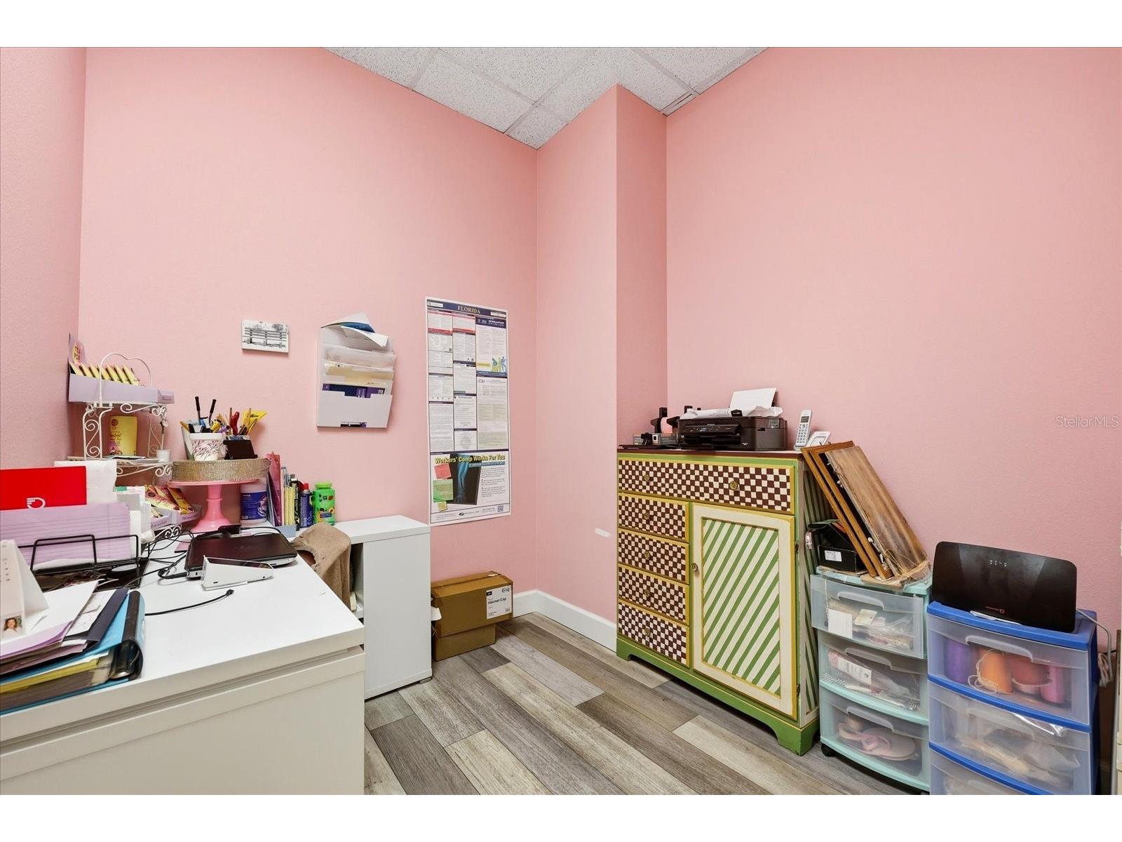 11266 Boyette Roads Riverview FL 33569 A4688630 image35