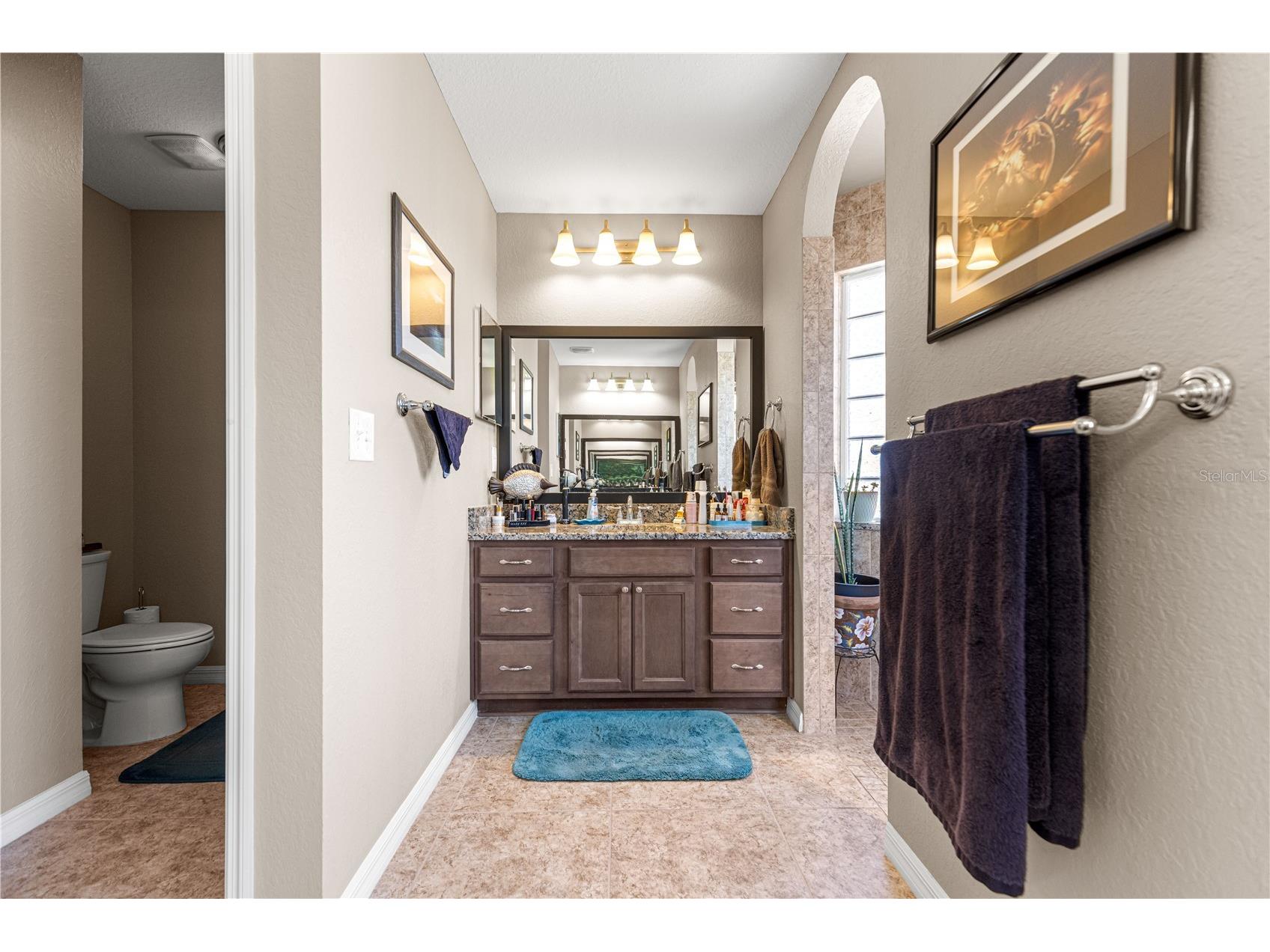 11266 SE 170th Lane Summerfield FL 34491 G5107915 image37
