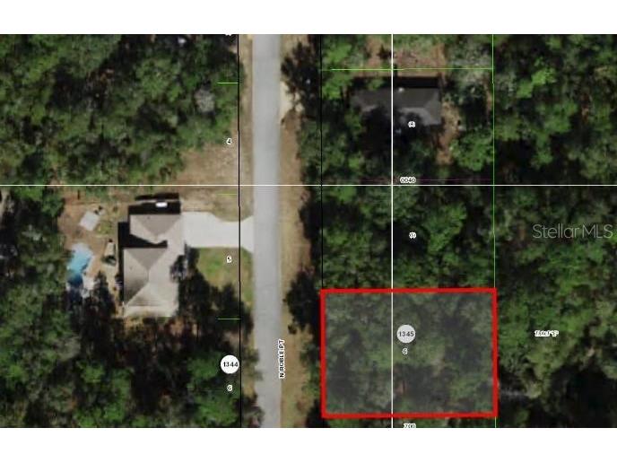 11267 N Roble Point Citrus Springs FL 34434 O6223784 image1