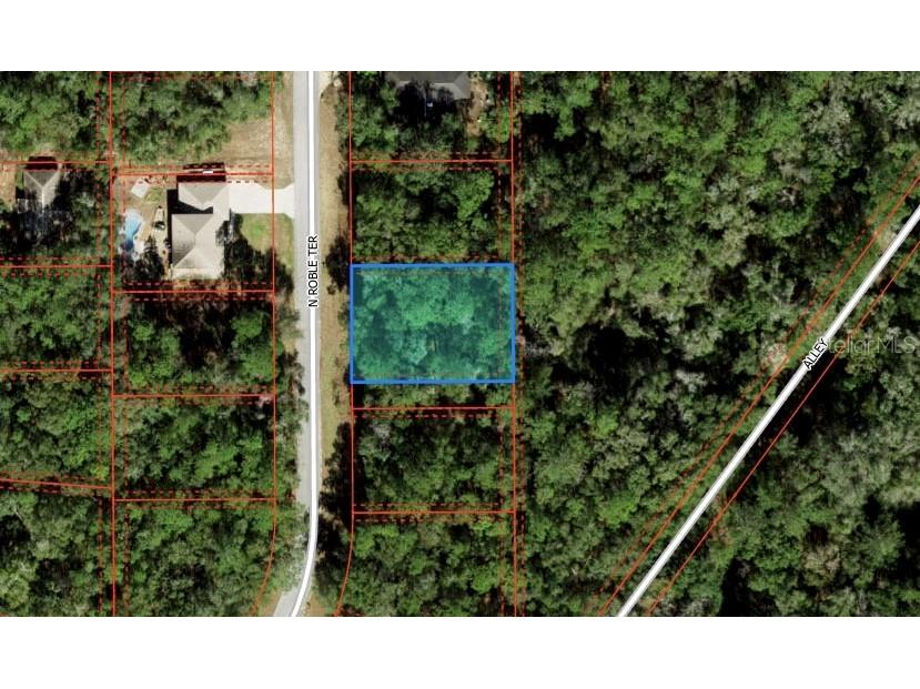 11267 N Roble Terrace Citrus Springs FL 34434 O6260916 image1