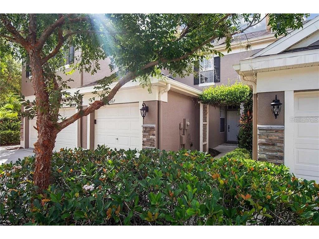 11267 Windsor Place Circle Tampa FL 33626 T3435924 image1