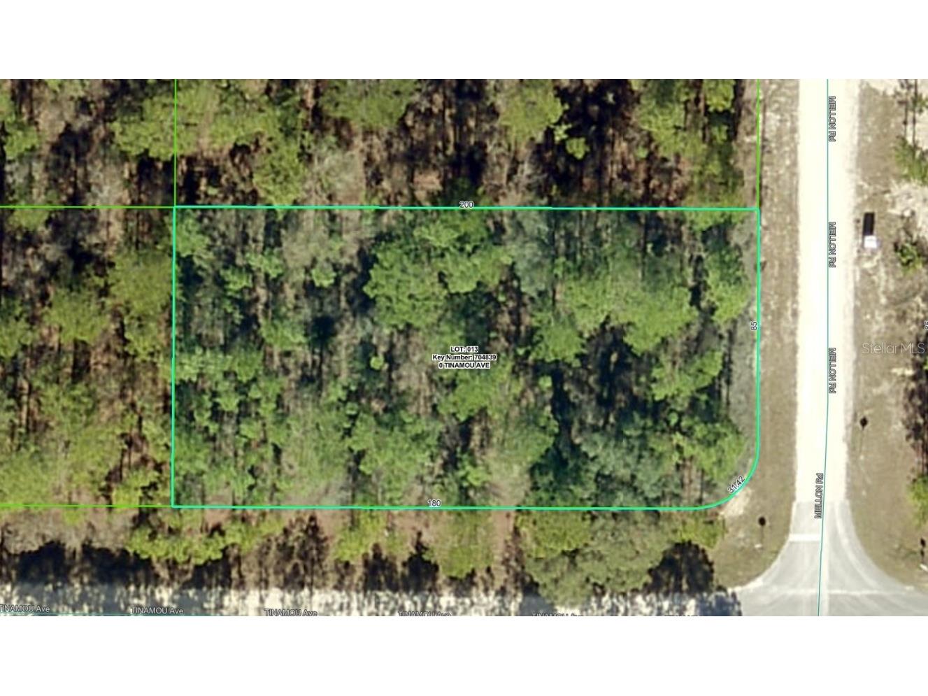 11269 Tinamou Avenue Brooksville FL 34614 W7880023 image1