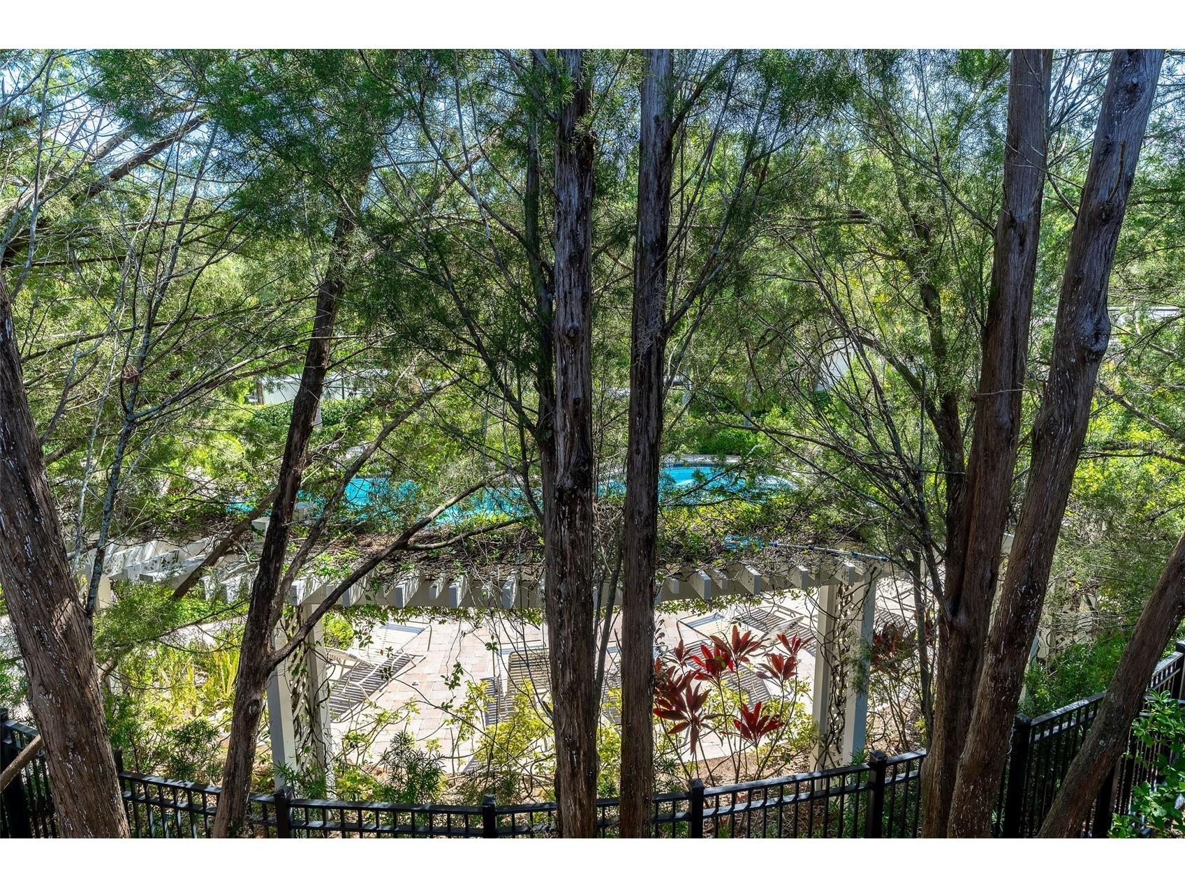 11269 Windsor Place Circle Tampa FL 33626 TB8531738 image16