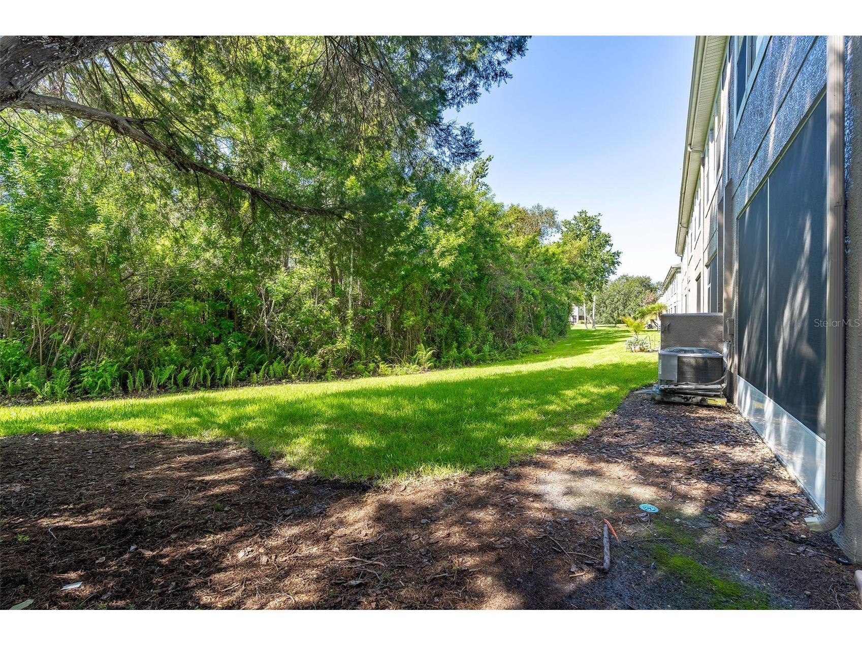 11269 Windsor Place Circle Tampa FL 33626 TB8531738 image27
