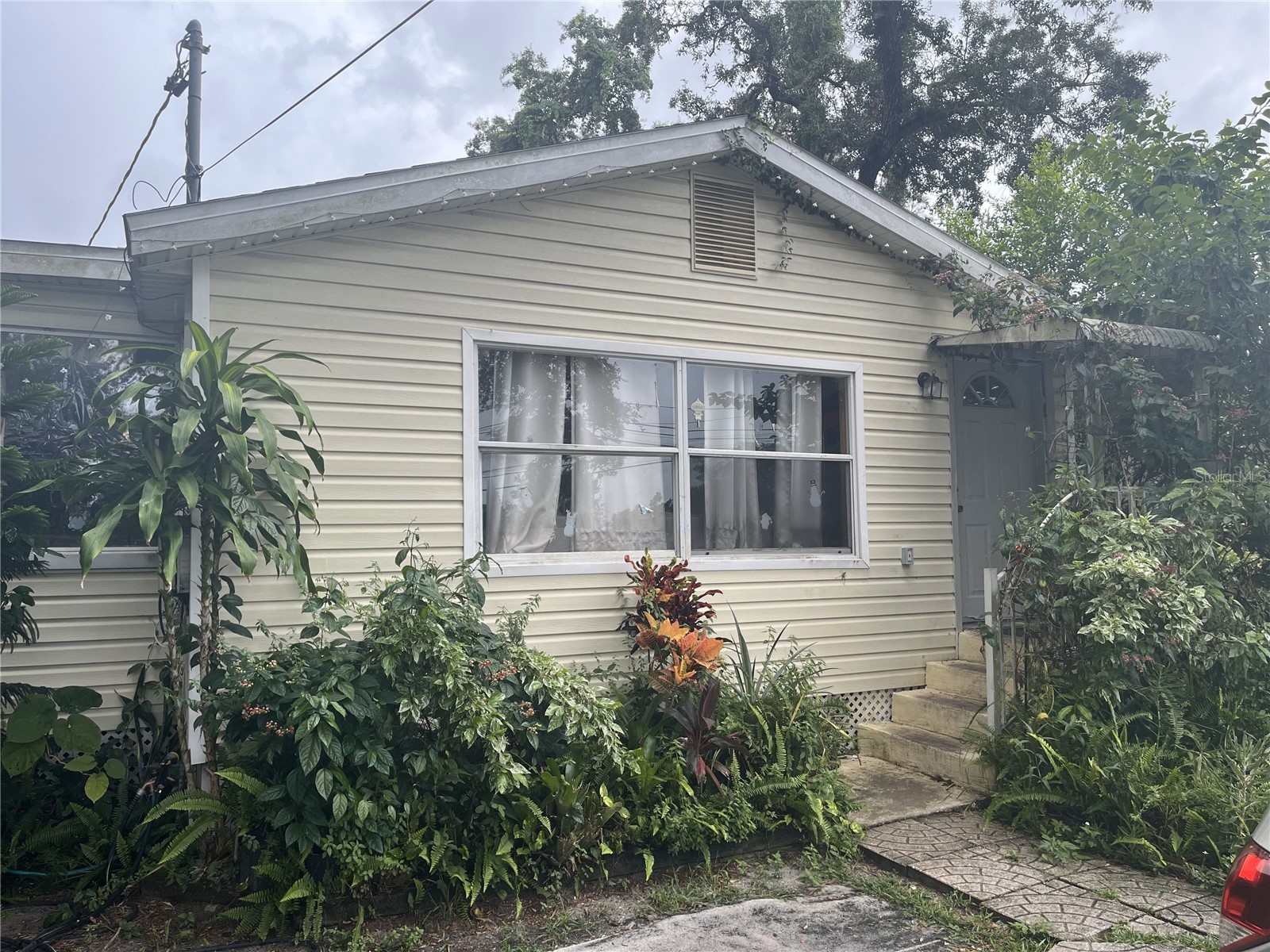 1127 Auburn Street Clearwater FL 33756 TB8521632 image1