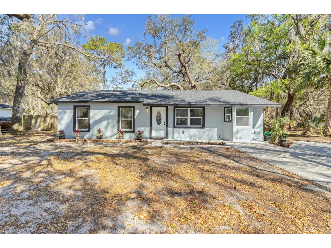 1127 E 11th Avenue Mount Dora FL 32757 O6092155 image1