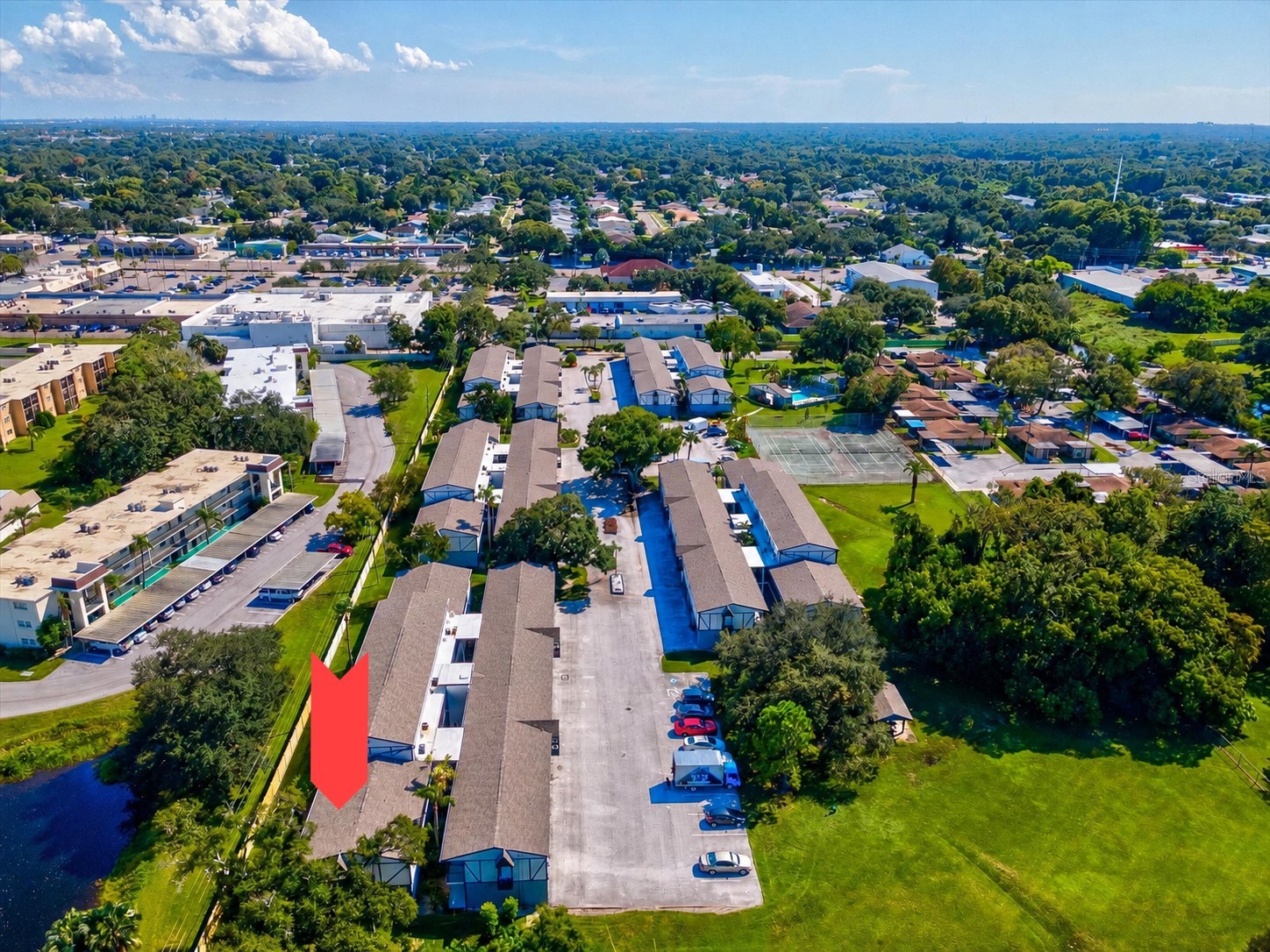 1127 King Arthur Court #309 Dunedin FL 34698 TB8492504 image1