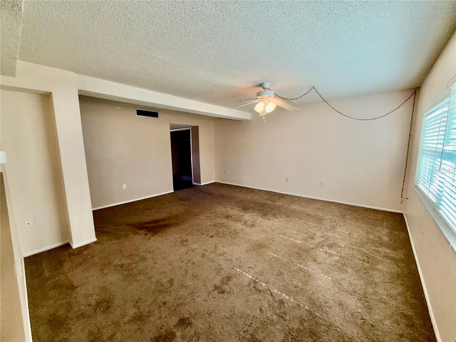 1127 King Arthur Court #309 Dunedin FL 34698 TB8492504 image15