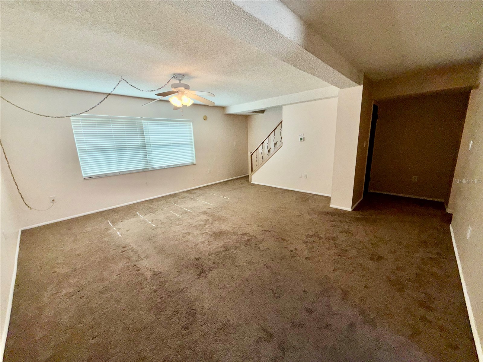 1127 King Arthur Court #309 Dunedin FL 34698 TB8492504 image18