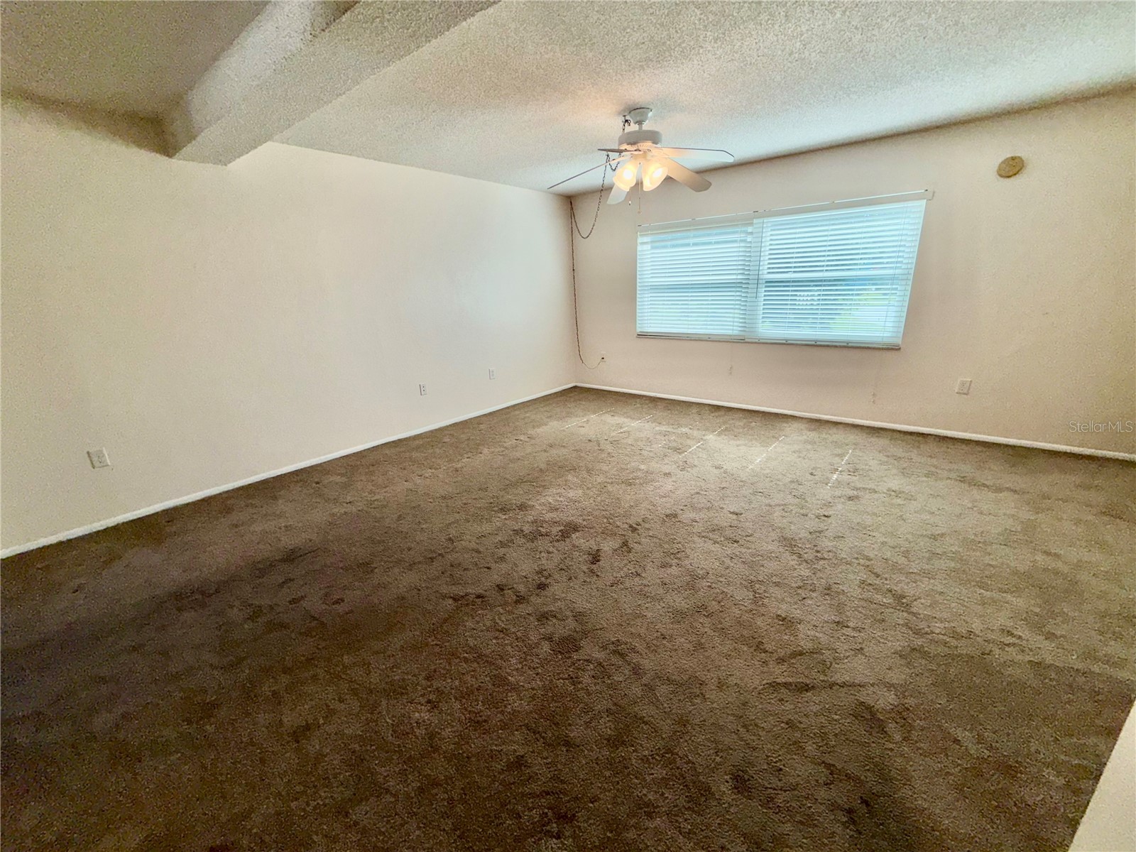 1127 King Arthur Court #309 Dunedin FL 34698 TB8492504 image19