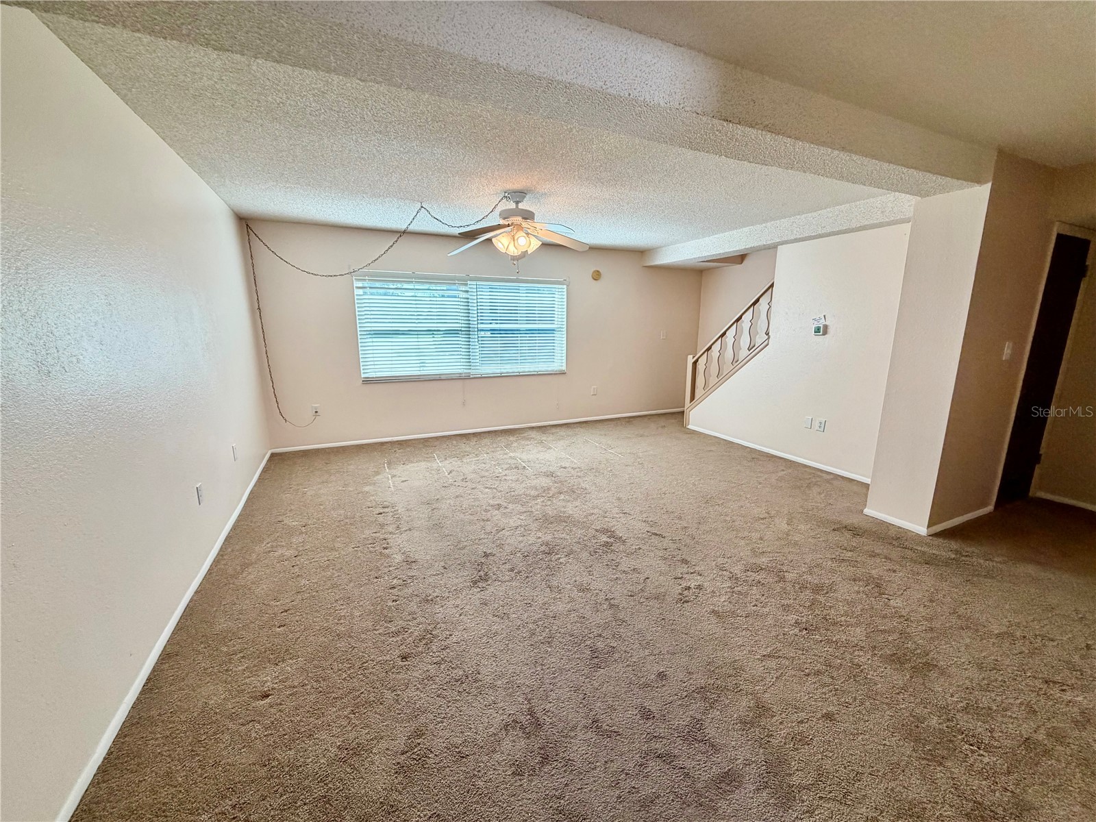 1127 King Arthur Court #309 Dunedin FL 34698 TB8492504 image20
