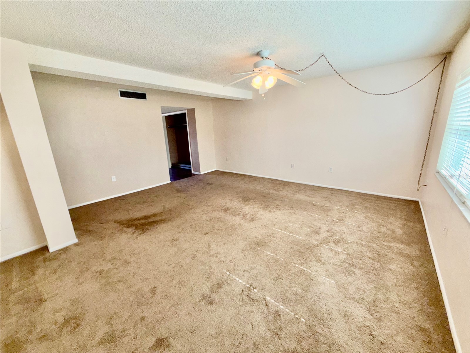 1127 King Arthur Court #309 Dunedin FL 34698 TB8492504 image21