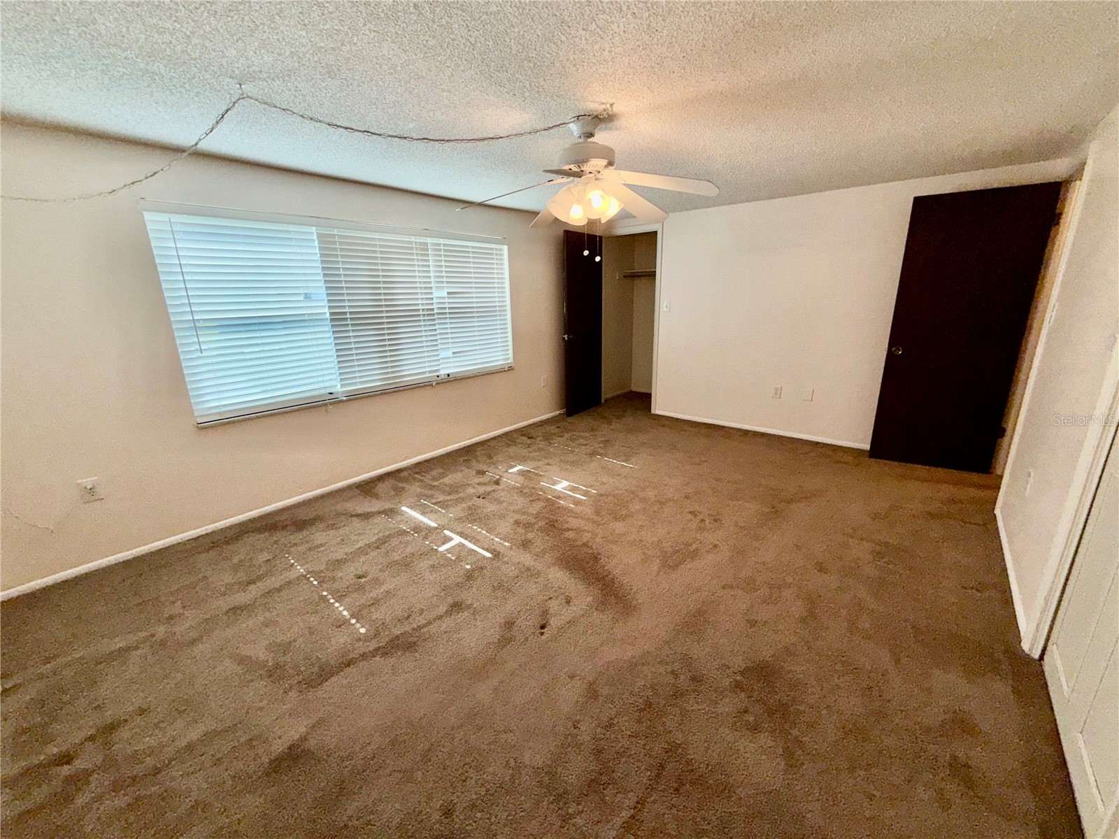 1127 King Arthur Court #309 Dunedin FL 34698 TB8492504 image28