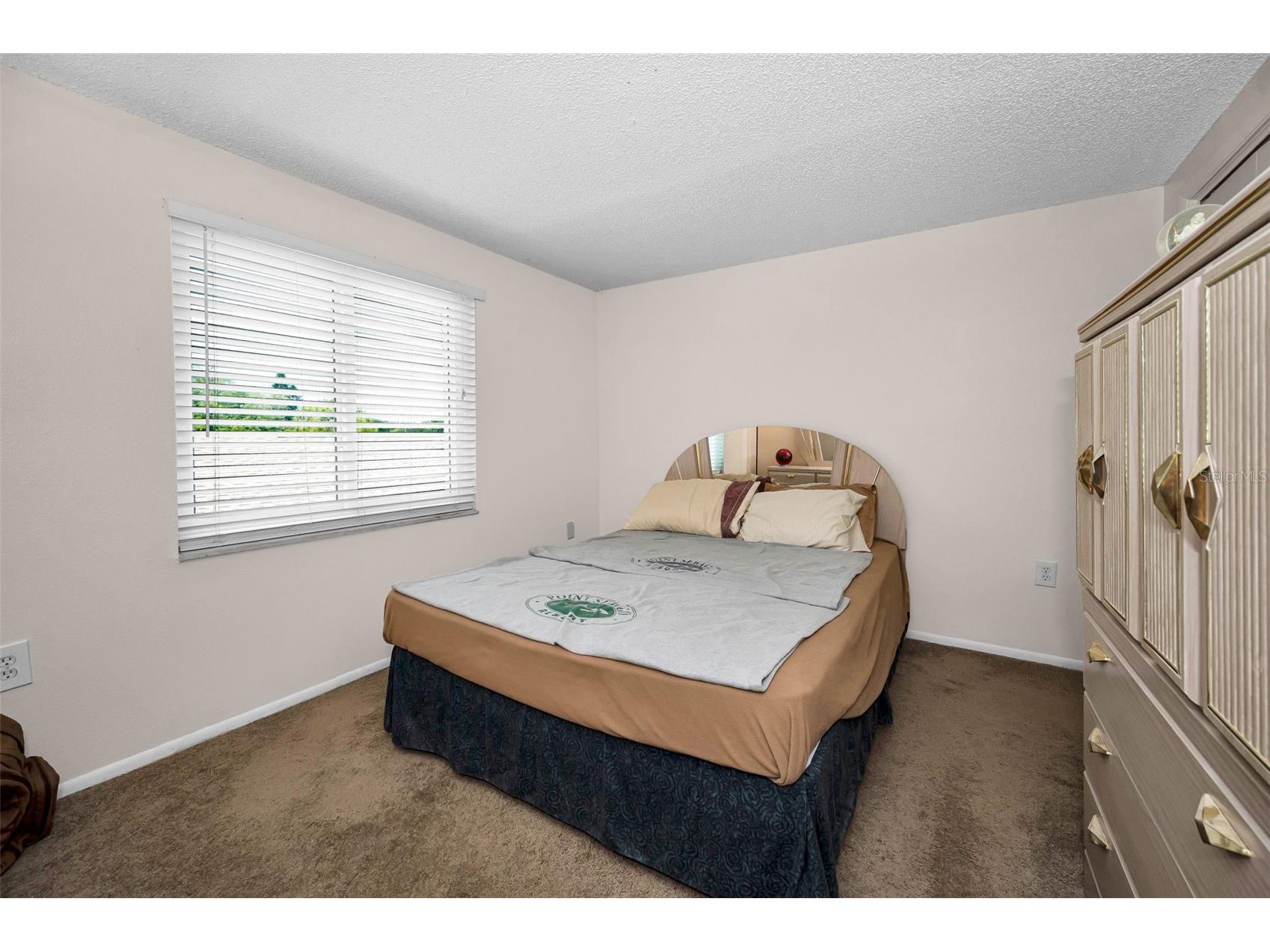 1127 King Arthur Court #309 Dunedin FL 34698 TB8492504 image29