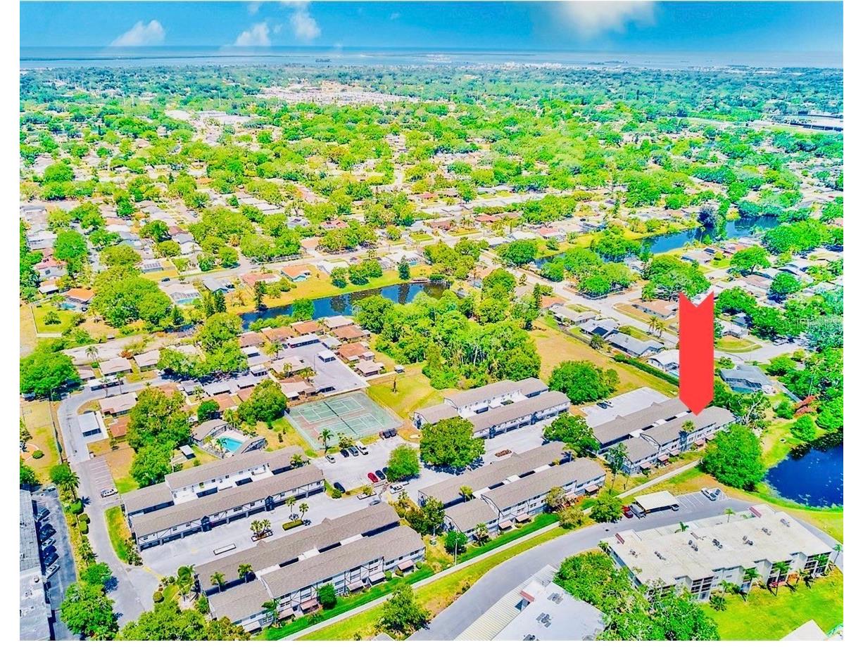 1127 King Arthur Court #309 Dunedin FL 34698 TB8492504 image3