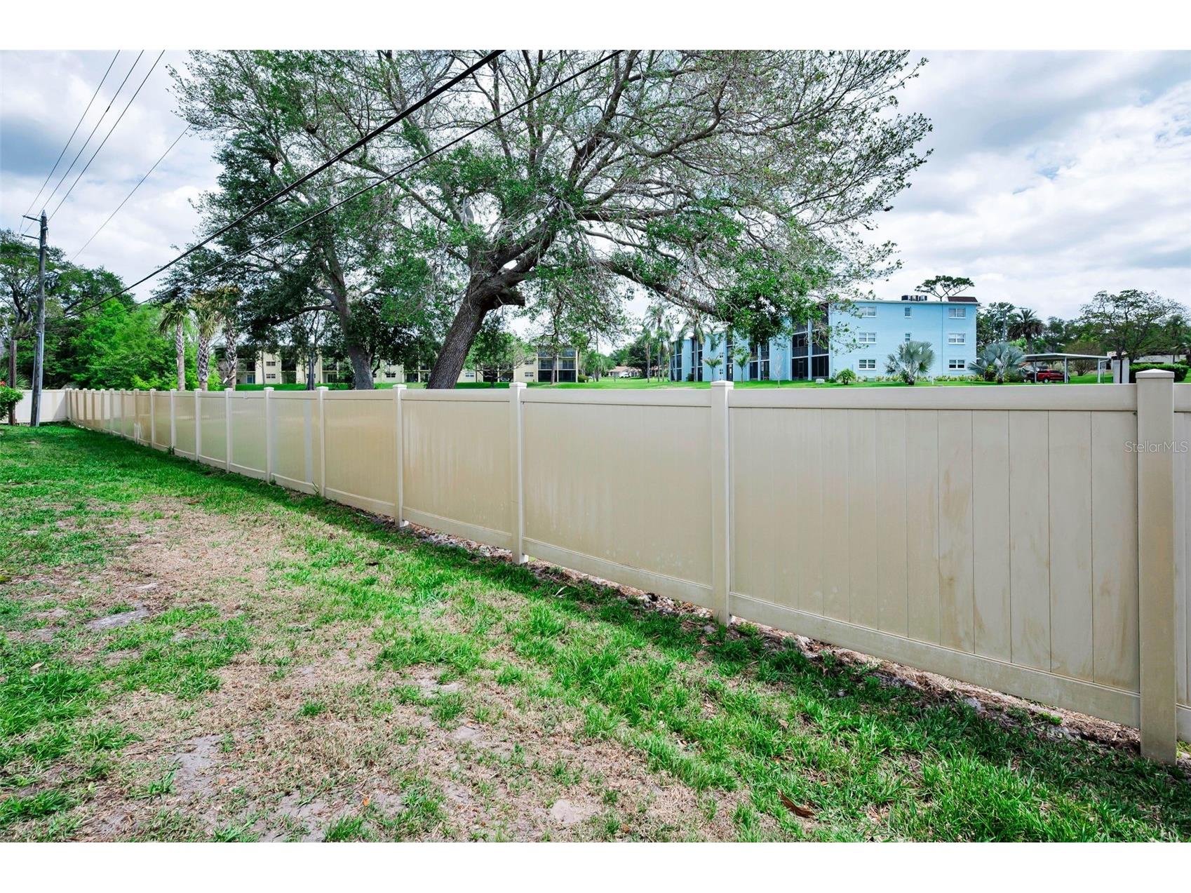 1127 King Arthur Court #309 Dunedin FL 34698 TB8492504 image34