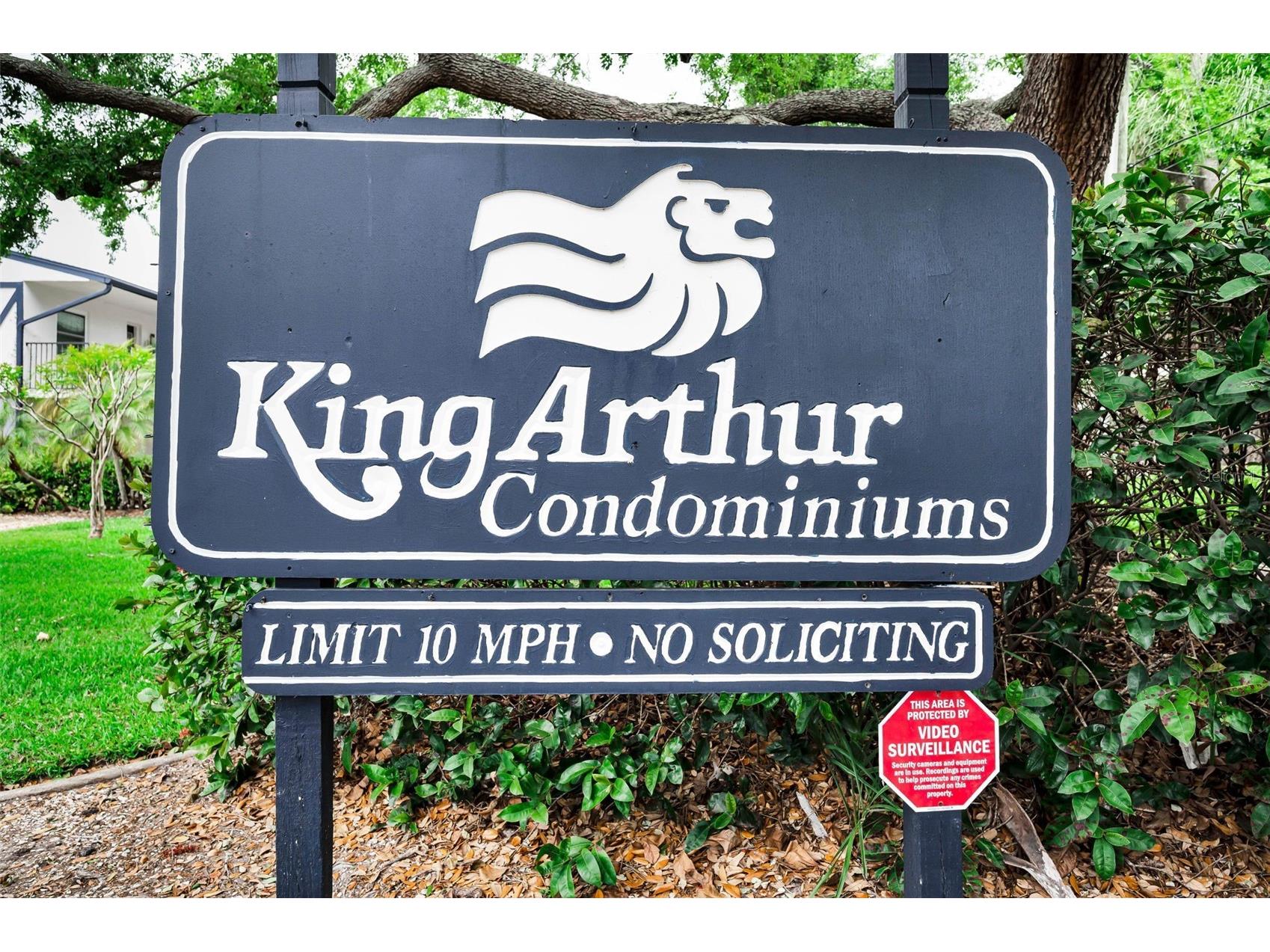 1127 King Arthur Court #309 Dunedin FL 34698 TB8492504 image35