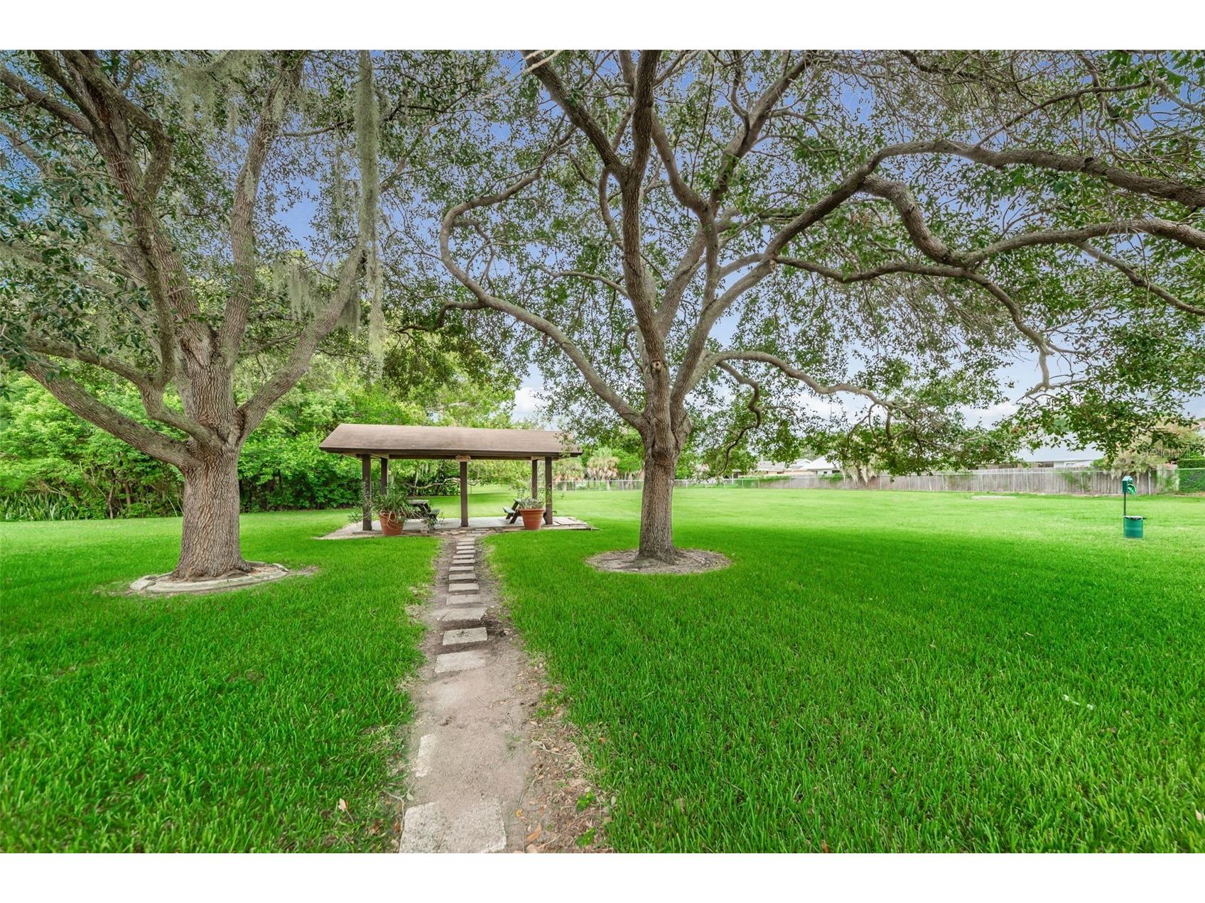 1127 King Arthur Court #309 Dunedin FL 34698 TB8492504 image36