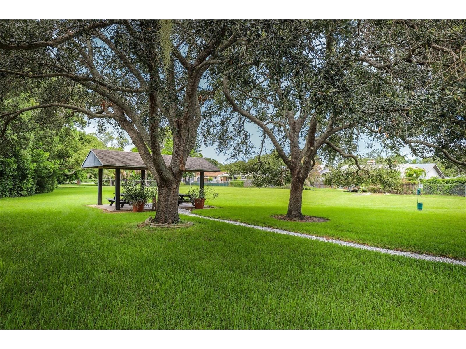 1127 King Arthur Court #309 Dunedin FL 34698 TB8492504 image37