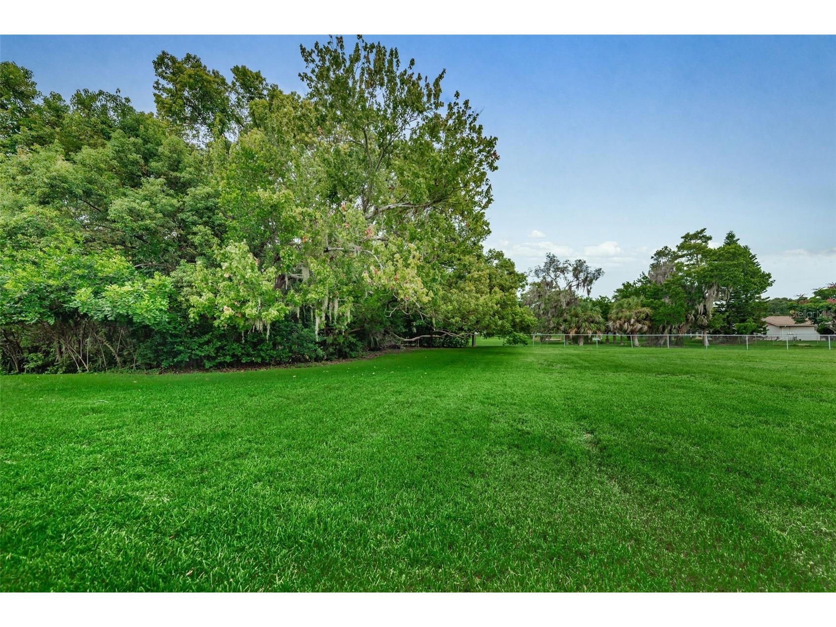 1127 King Arthur Court #309 Dunedin FL 34698 TB8492504 image40