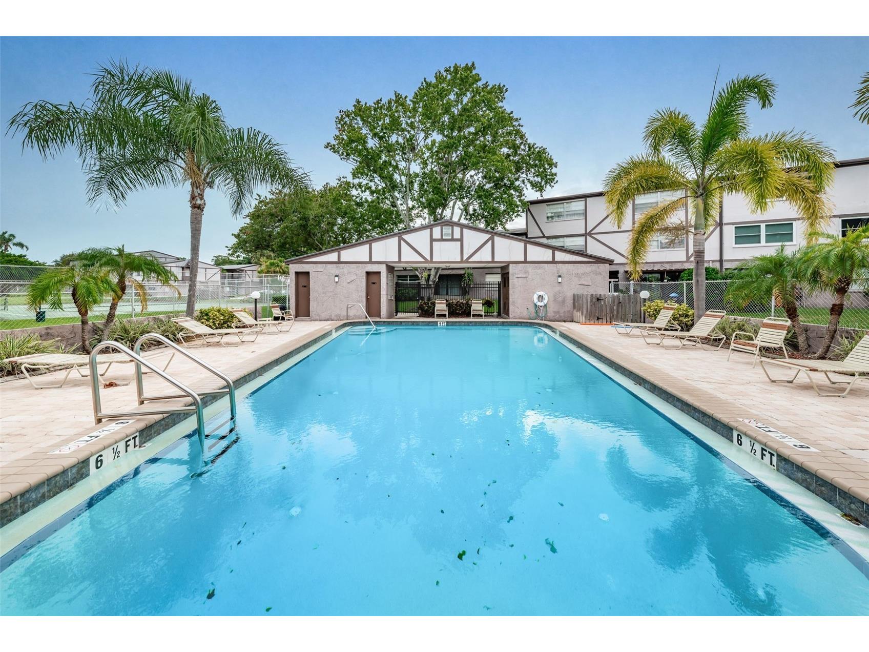 1127 King Arthur Court #309 Dunedin FL 34698 TB8492504 image45
