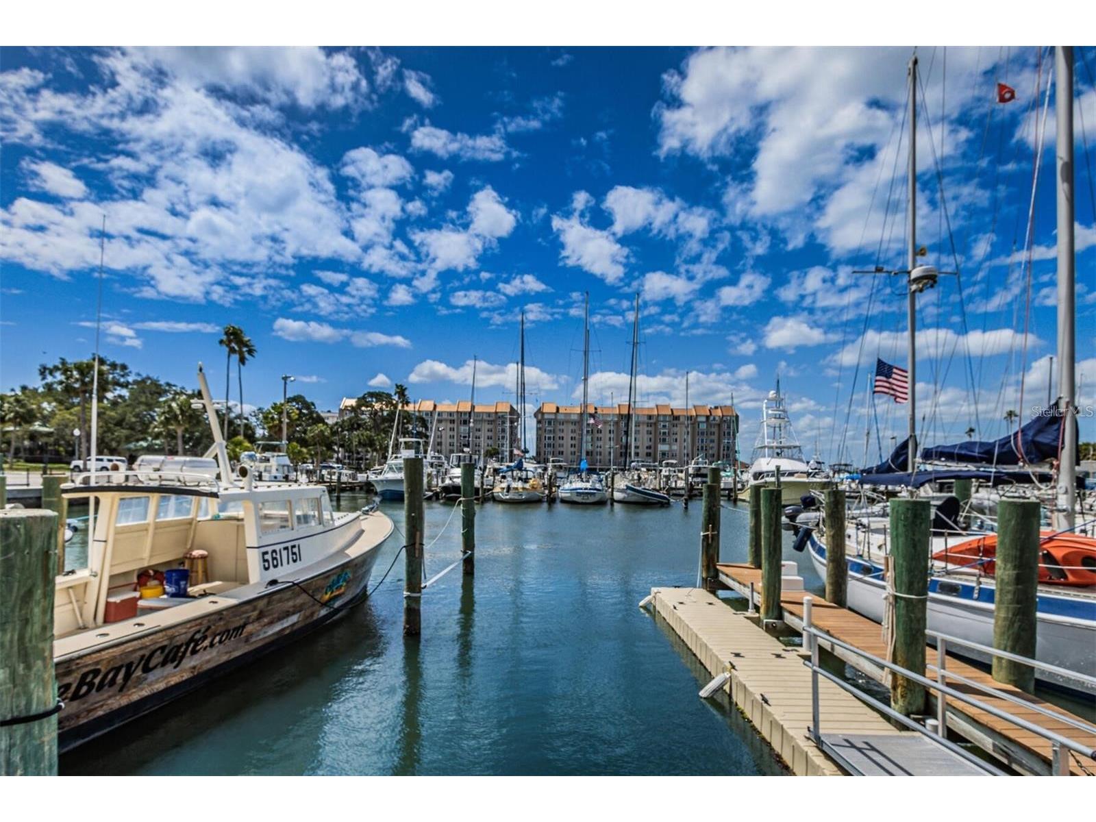 1127 King Arthur Court #309 Dunedin FL 34698 TB8492504 image48