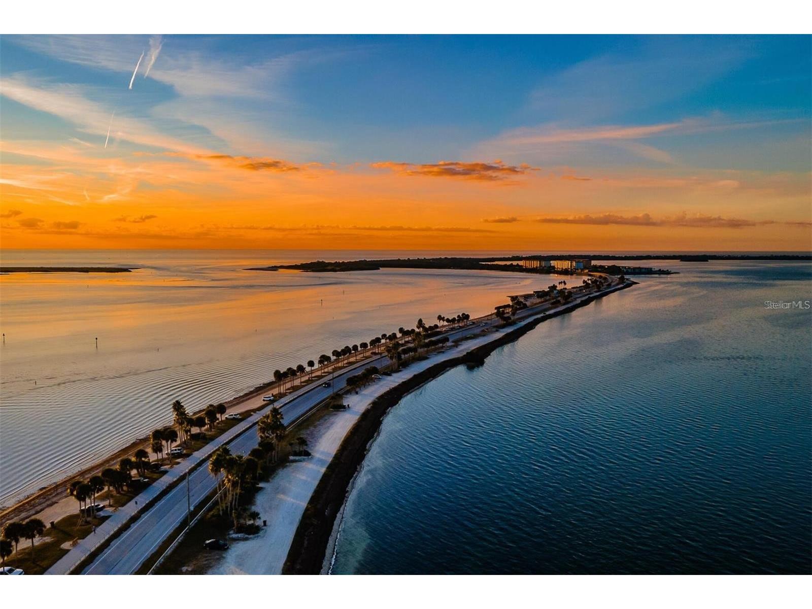 1127 King Arthur Court #309 Dunedin FL 34698 TB8492504 image52