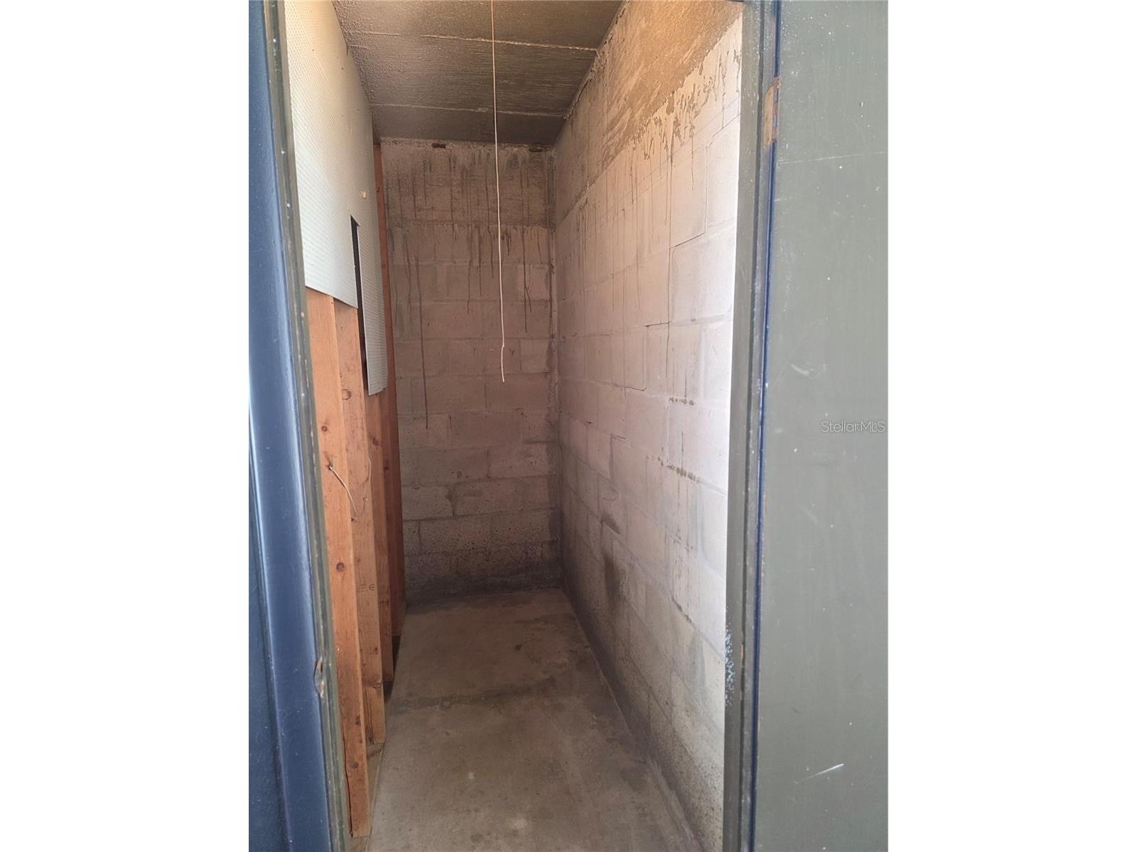 1127 King Arthur Court #309 Dunedin FL 34698 TB8492504 image6