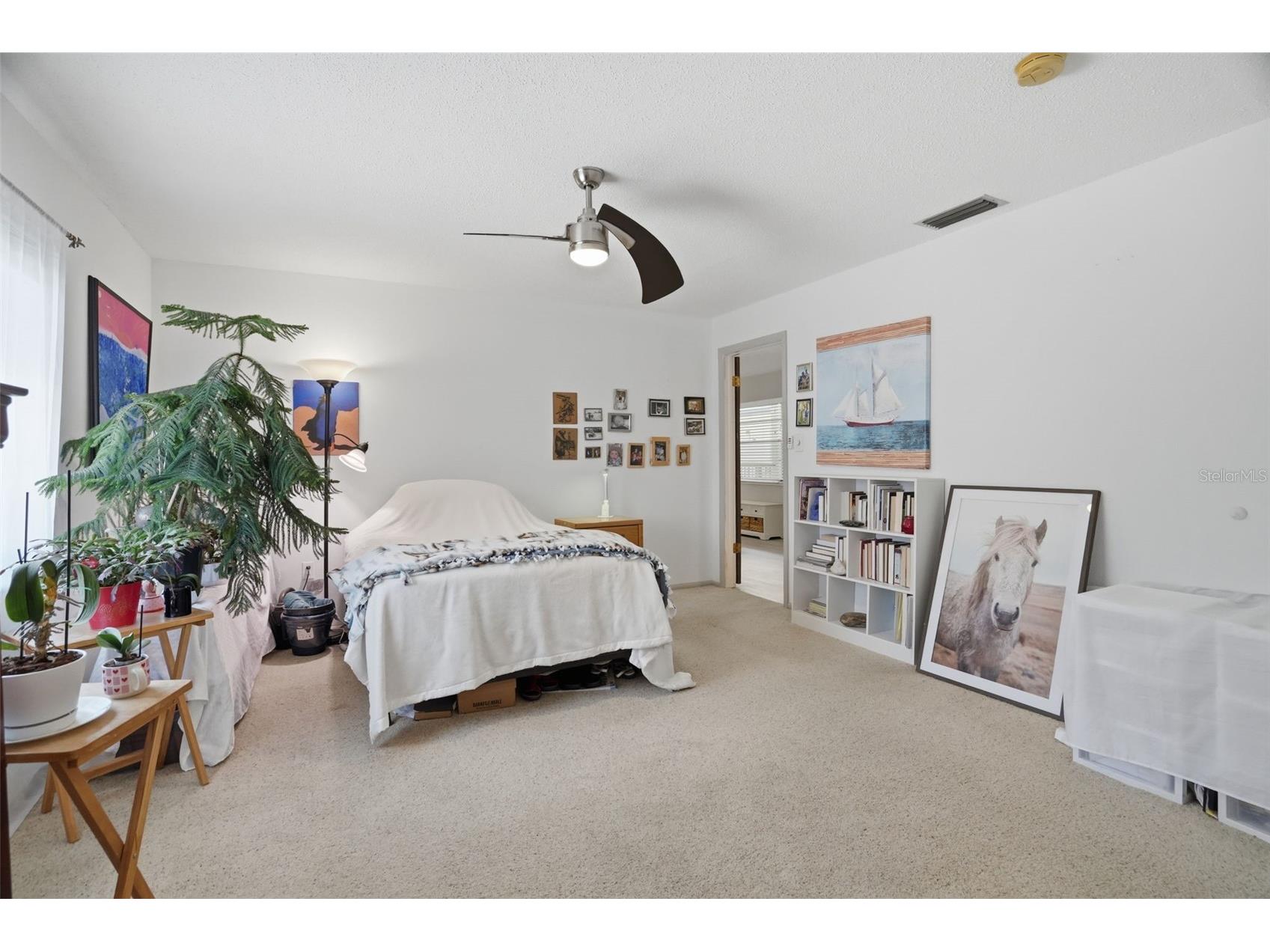 1127 King Arthur Court #316 Dunedin FL 34698 TB8508894 image18