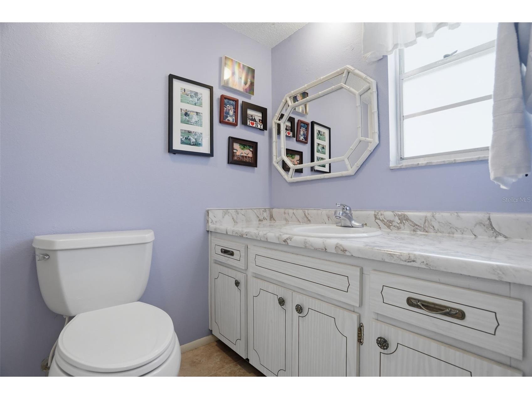 1127 King Arthur Court #316 Dunedin FL 34698 TB8508894 image20