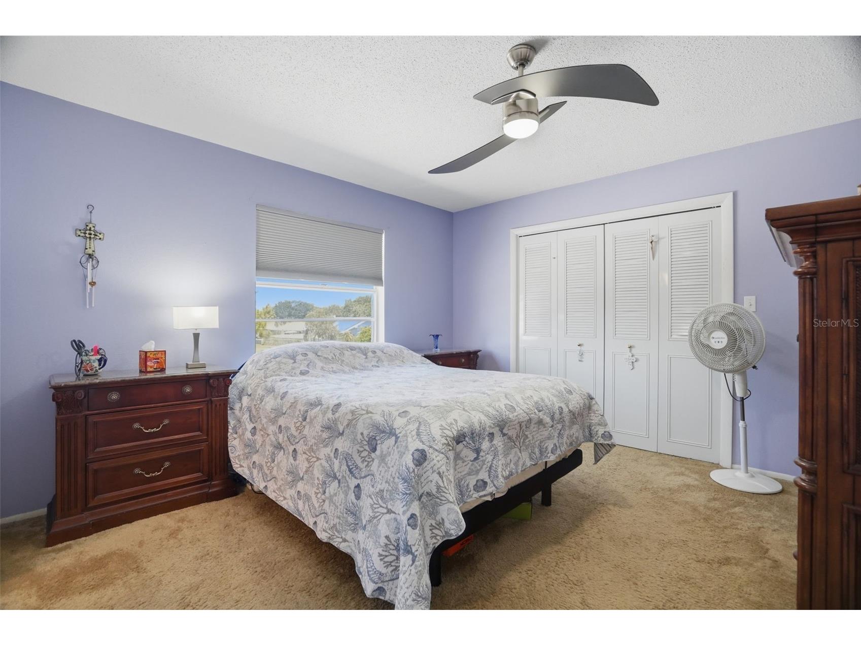 1127 King Arthur Court #316 Dunedin FL 34698 TB8508894 image22