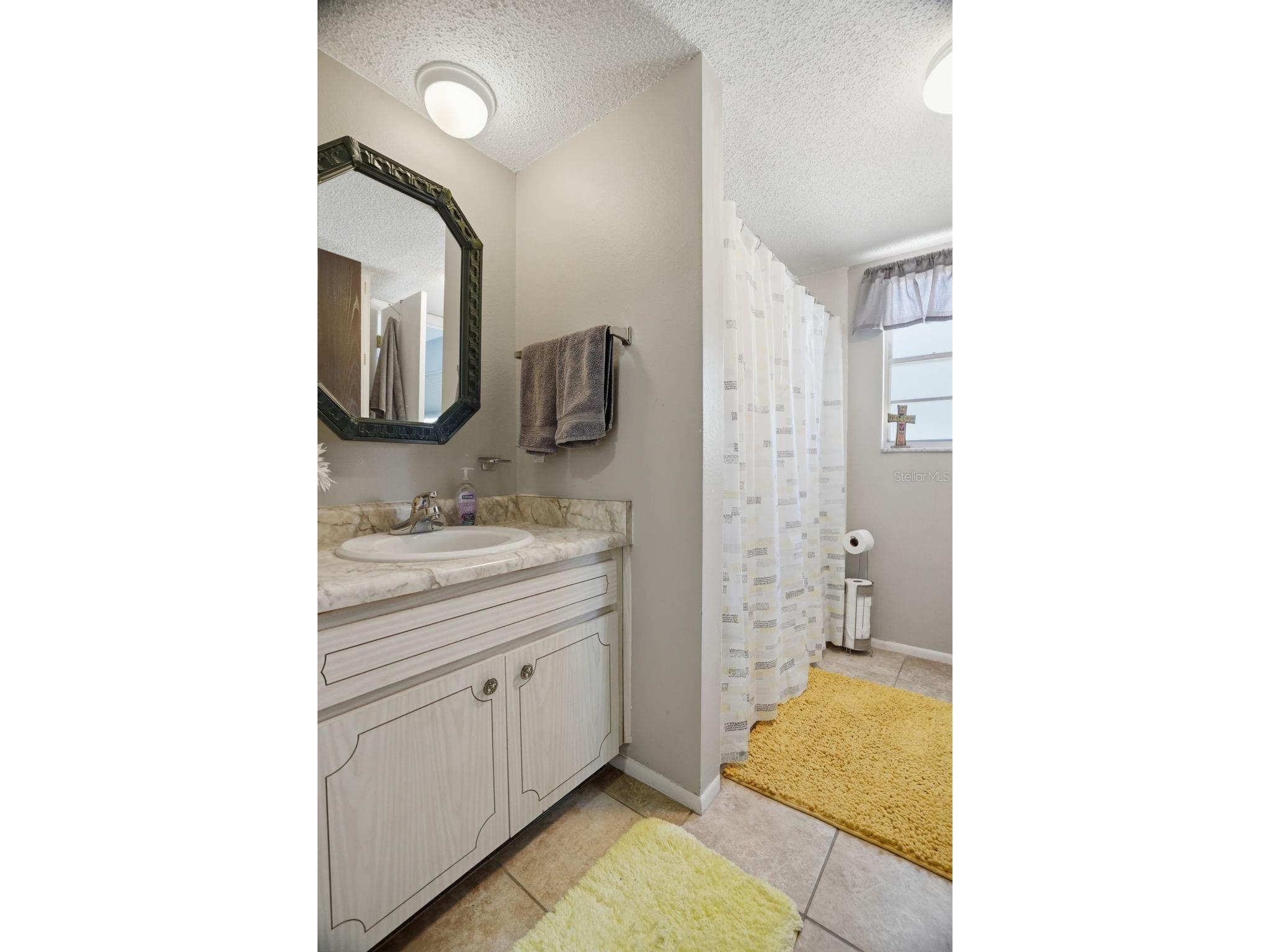 1127 King Arthur Court #316 Dunedin FL 34698 TB8508894 image24