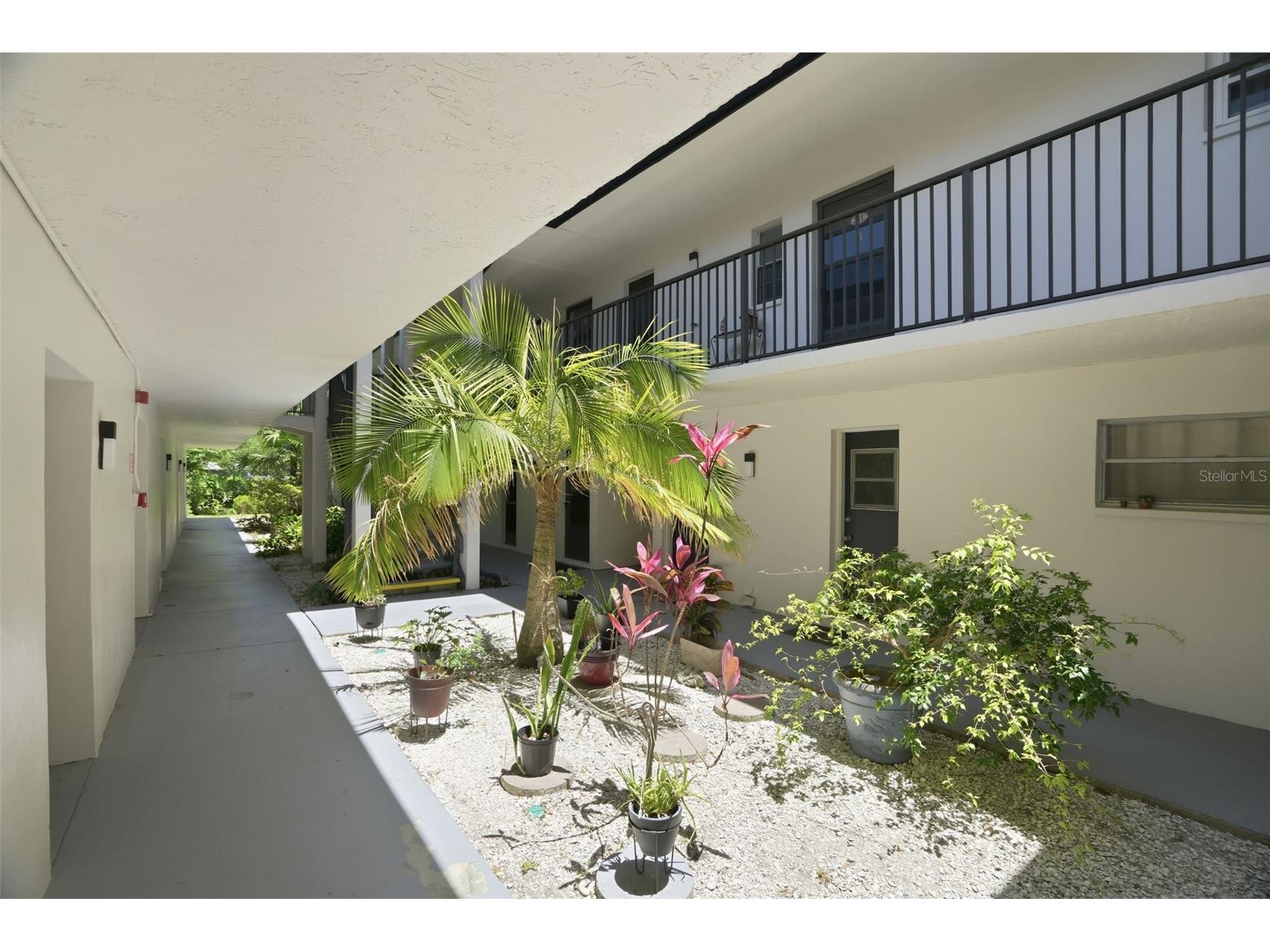 1127 King Arthur Court #316 Dunedin FL 34698 TB8508894 image3