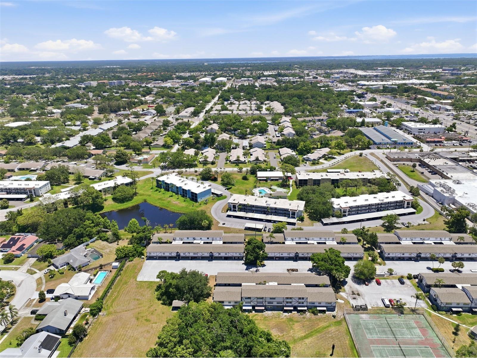 1127 King Arthur Court #316 Dunedin FL 34698 TB8508894 image38